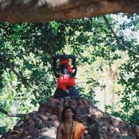 20031031_Photo_1024_F1100024_CMP_WM