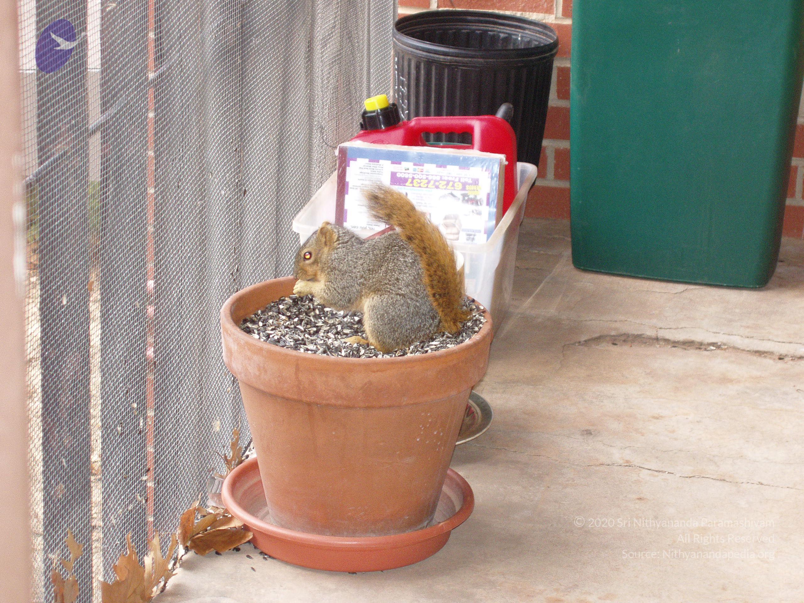 Picture 022504 035_CMP_WM