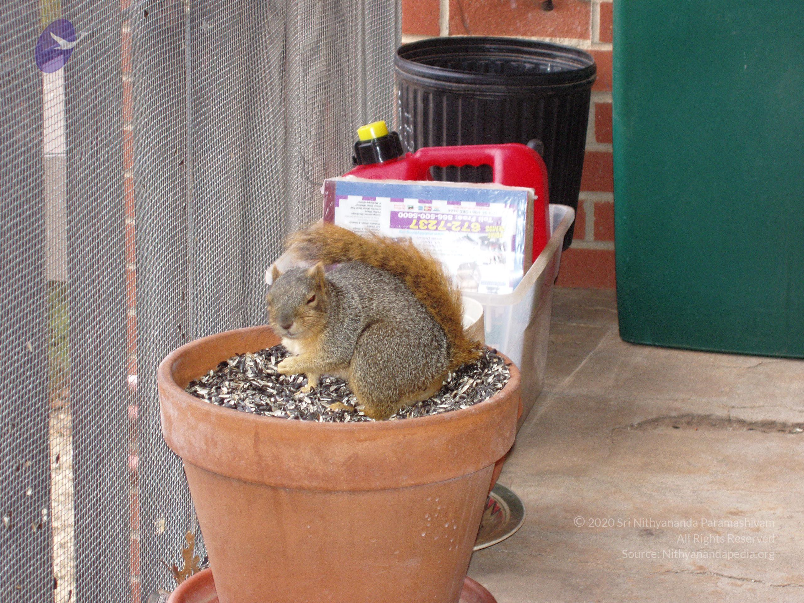 Picture 022504 036_CMP_WM