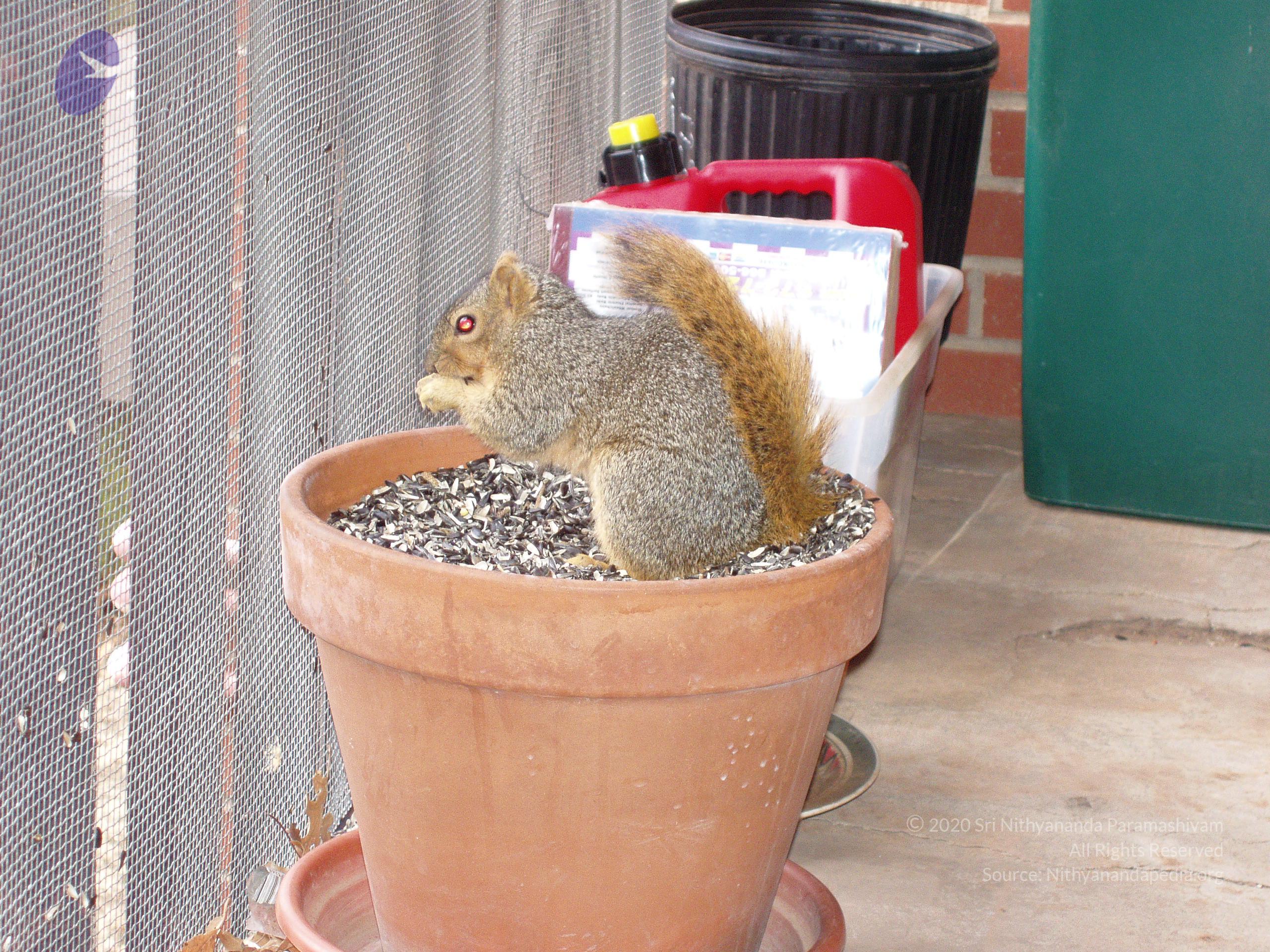 Picture 022504 037_CMP_WM