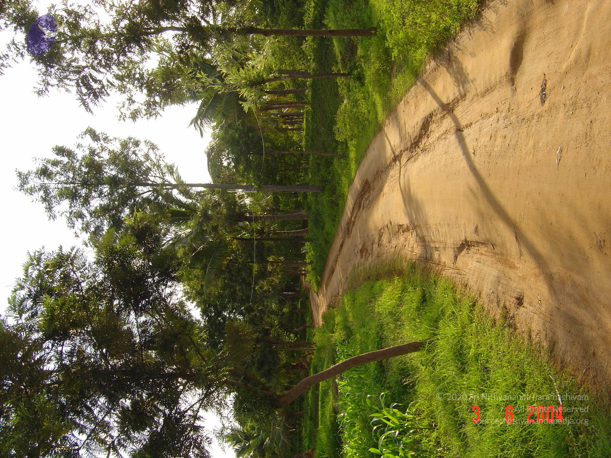 DSC03169_CMP_WM