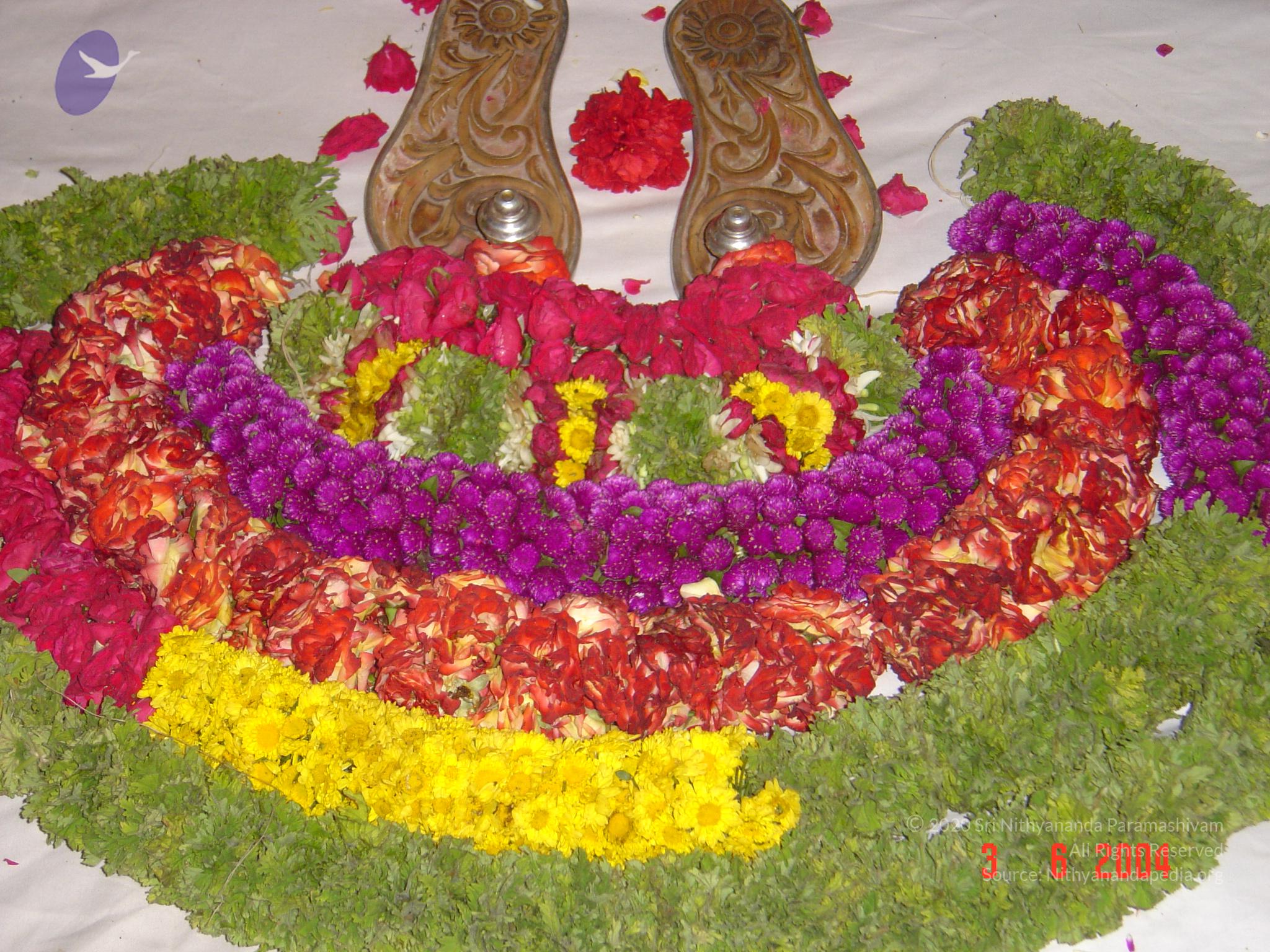 DSC03217_CMP_WM