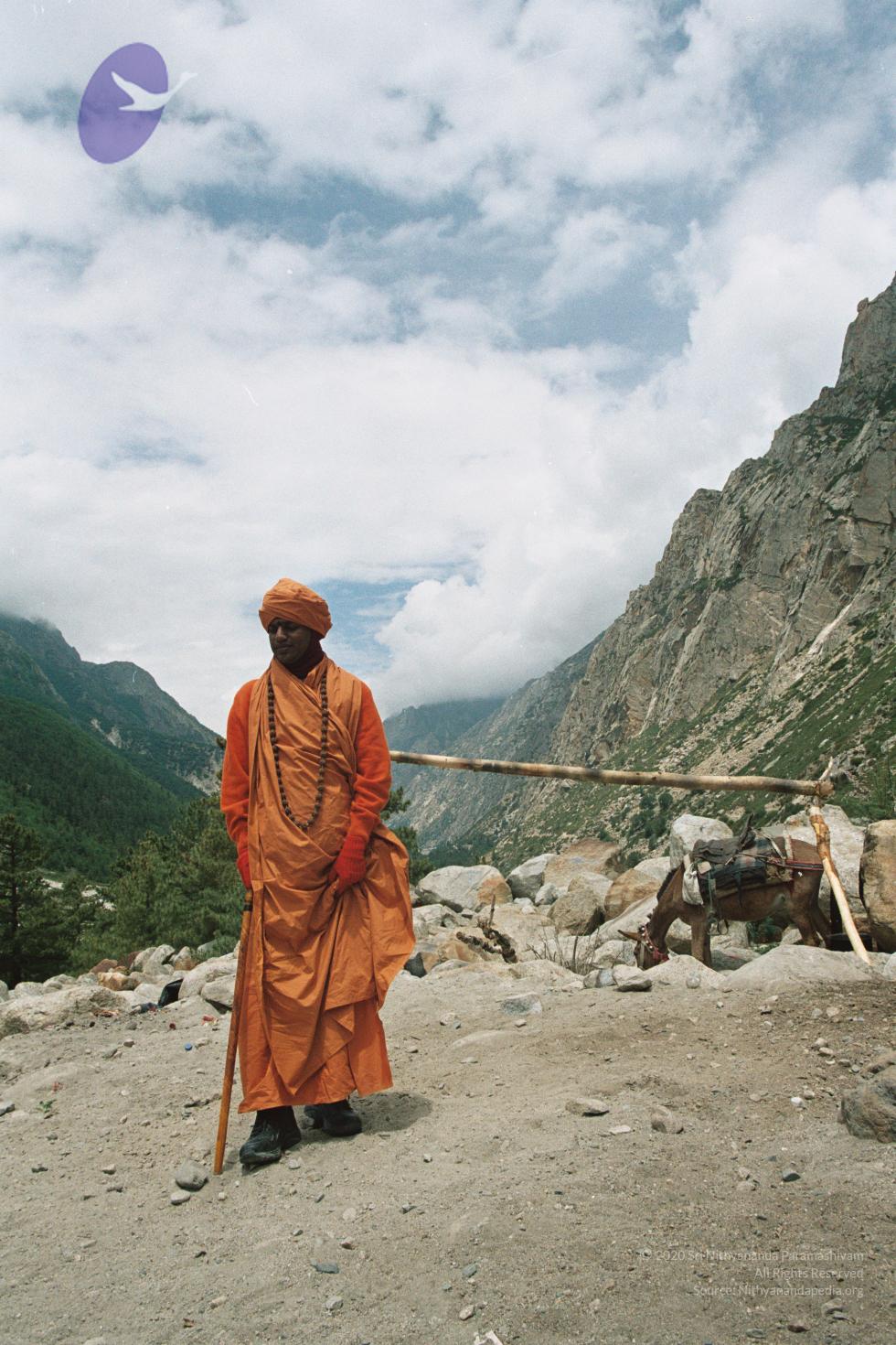 gkvale-1AA018A_CMP_WM