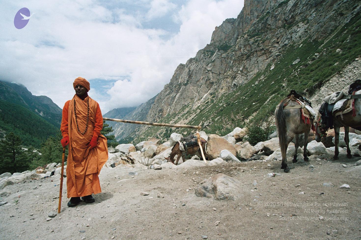 gkvale-1AA017A_CMP_WM