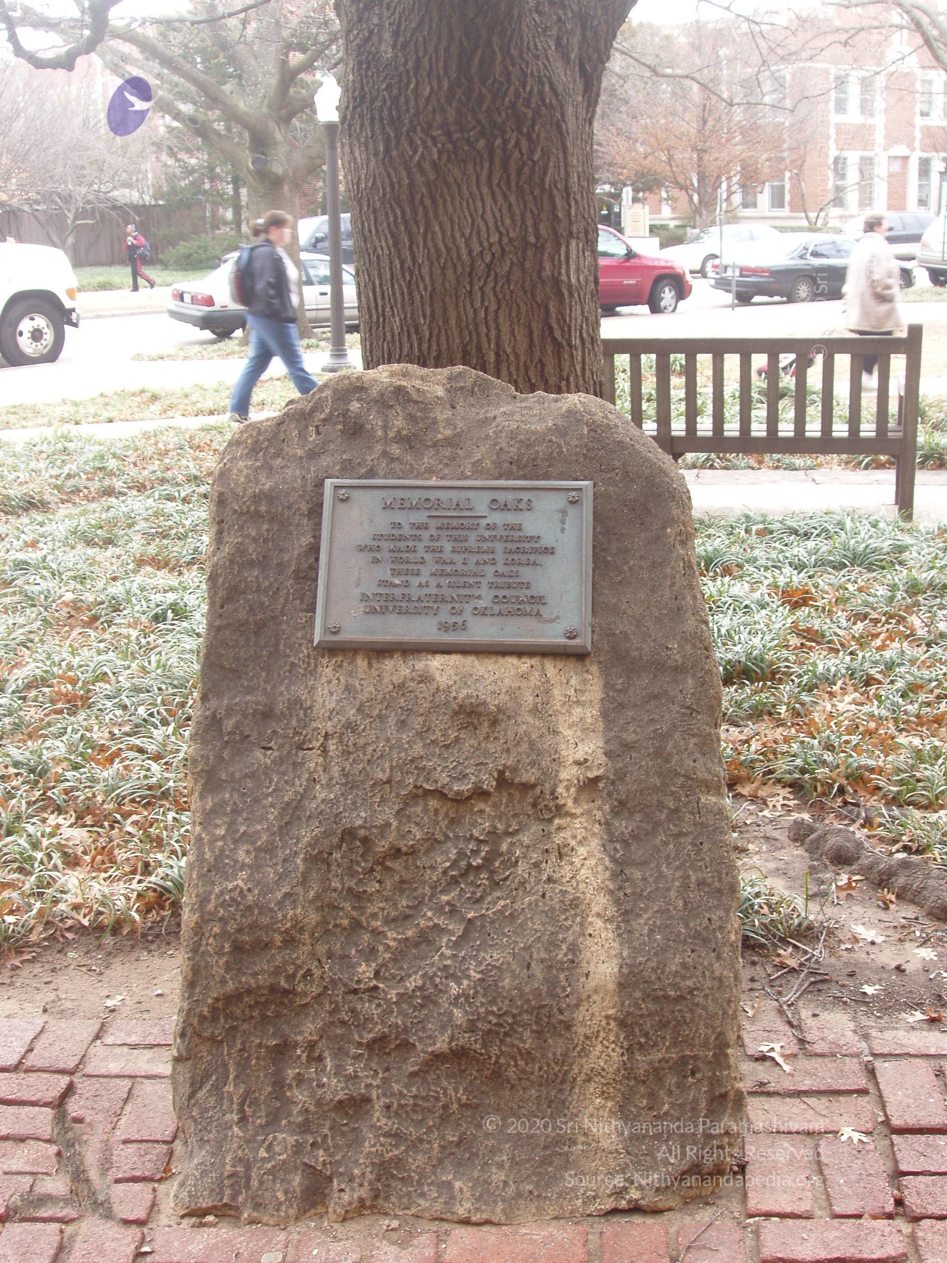 20040304_Photo_1046_Picture 030404 OU 132_CMP_WM