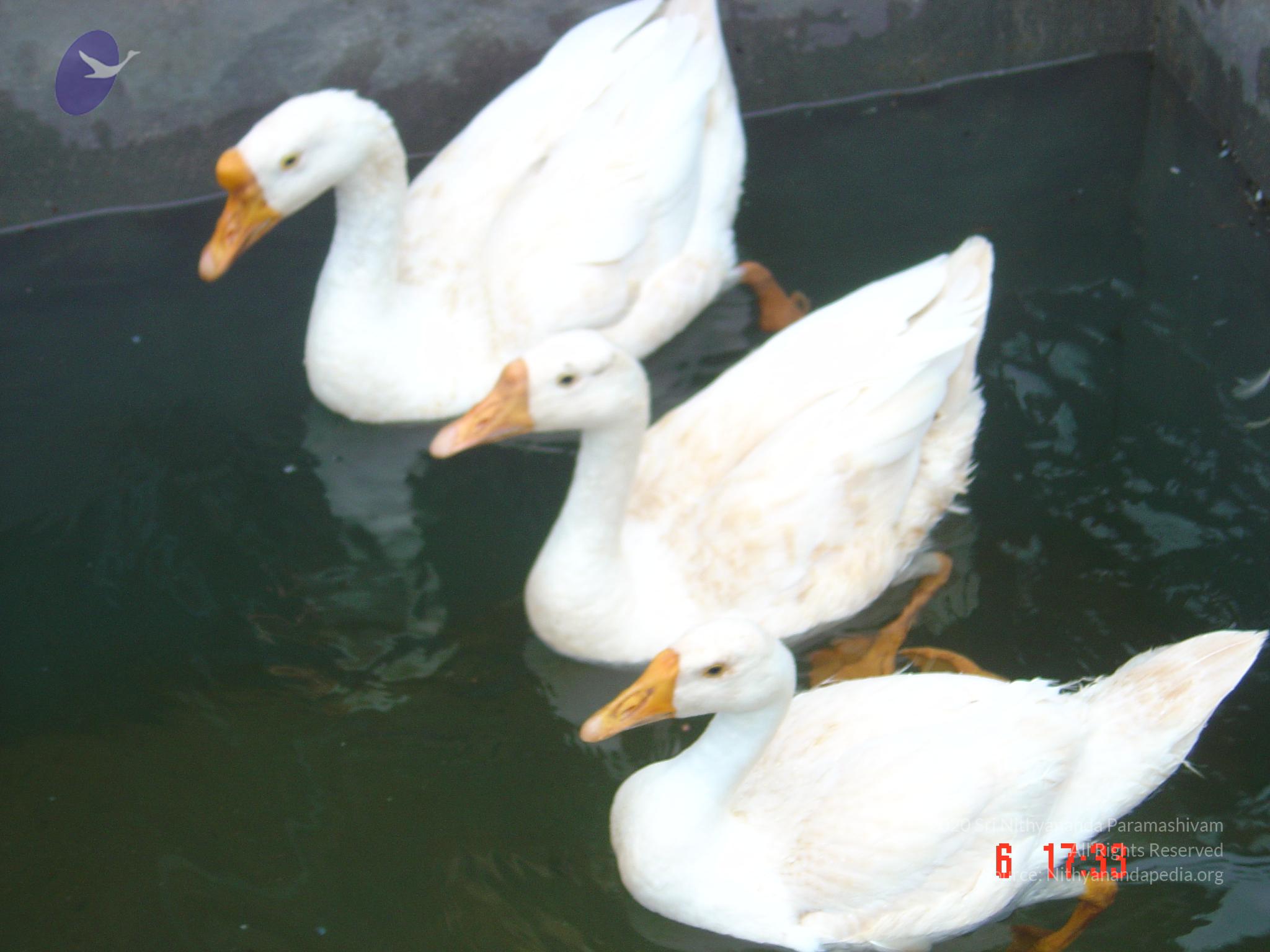 DSC00789_CMP_WM