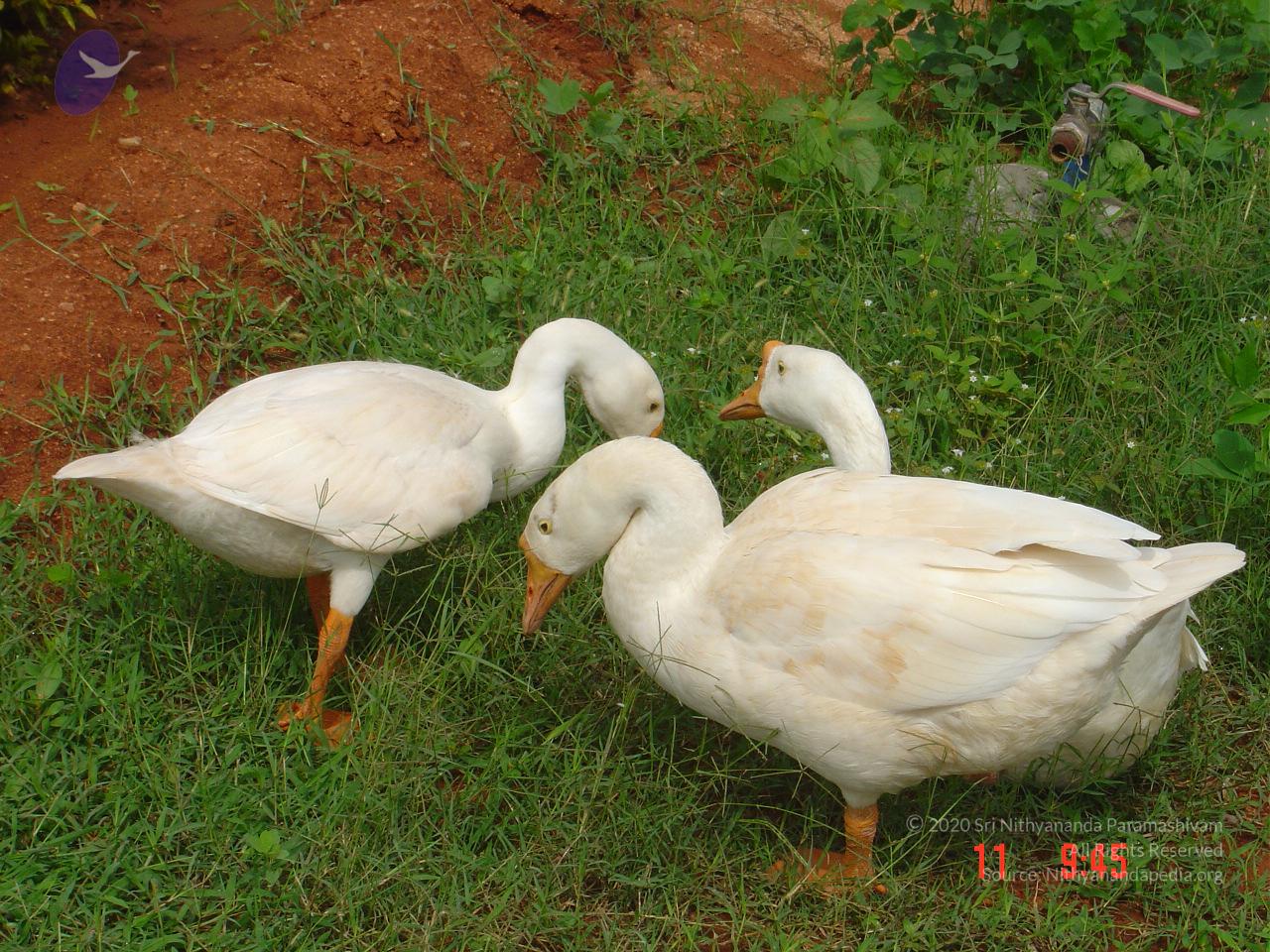 DSC01440_CMP_WM