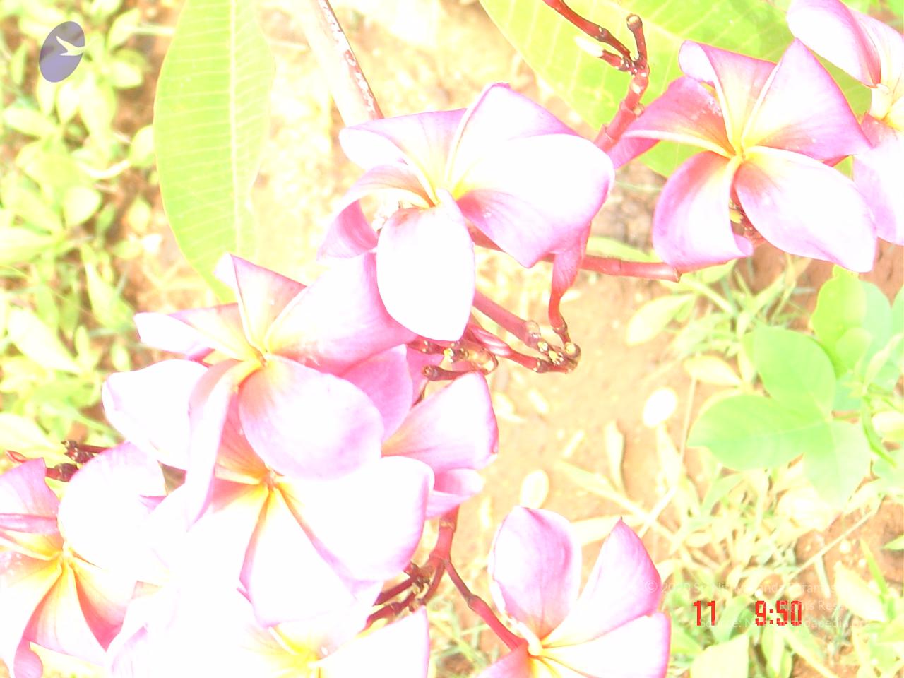 DSC01446_CMP_WM