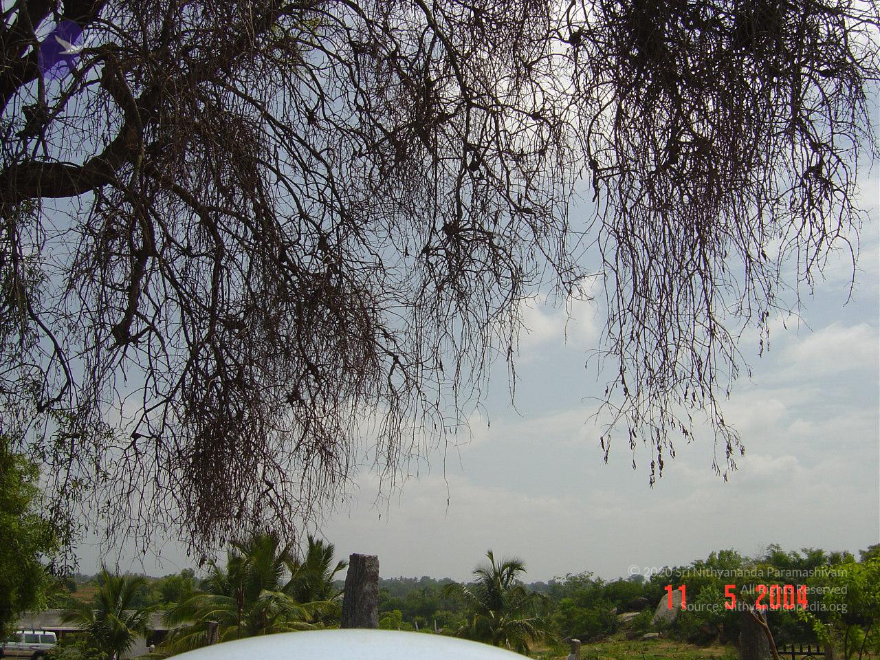 DSC01450_CMP_WM