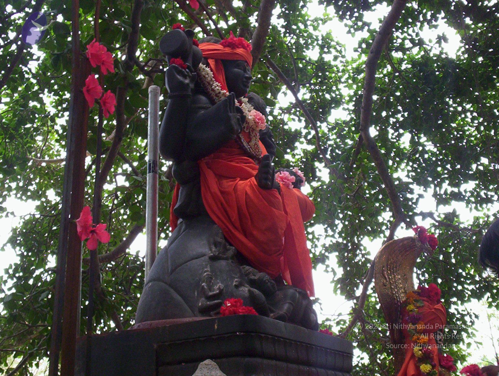 20050409_Photo_1002_100_2010_CMP_WM