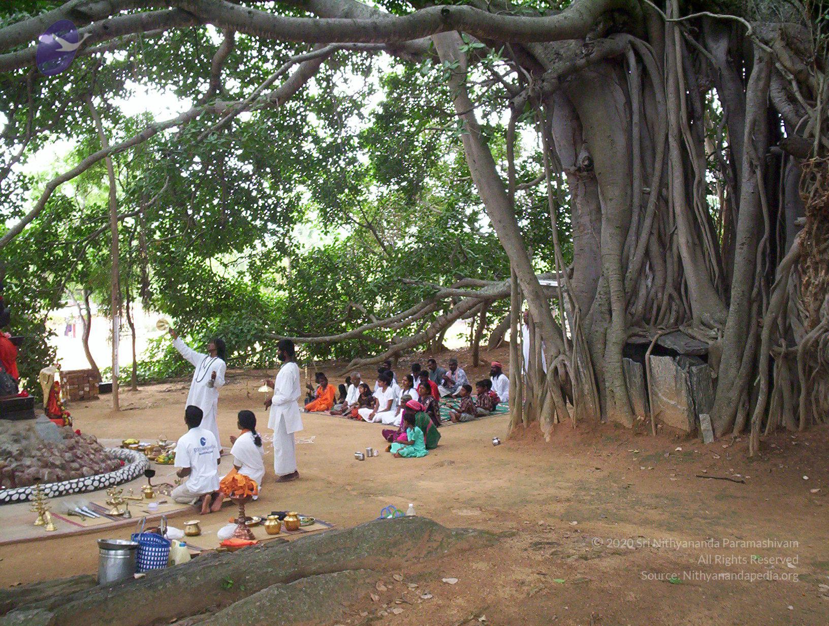 20050409_Photo_1014_100_2033_CMP_WM