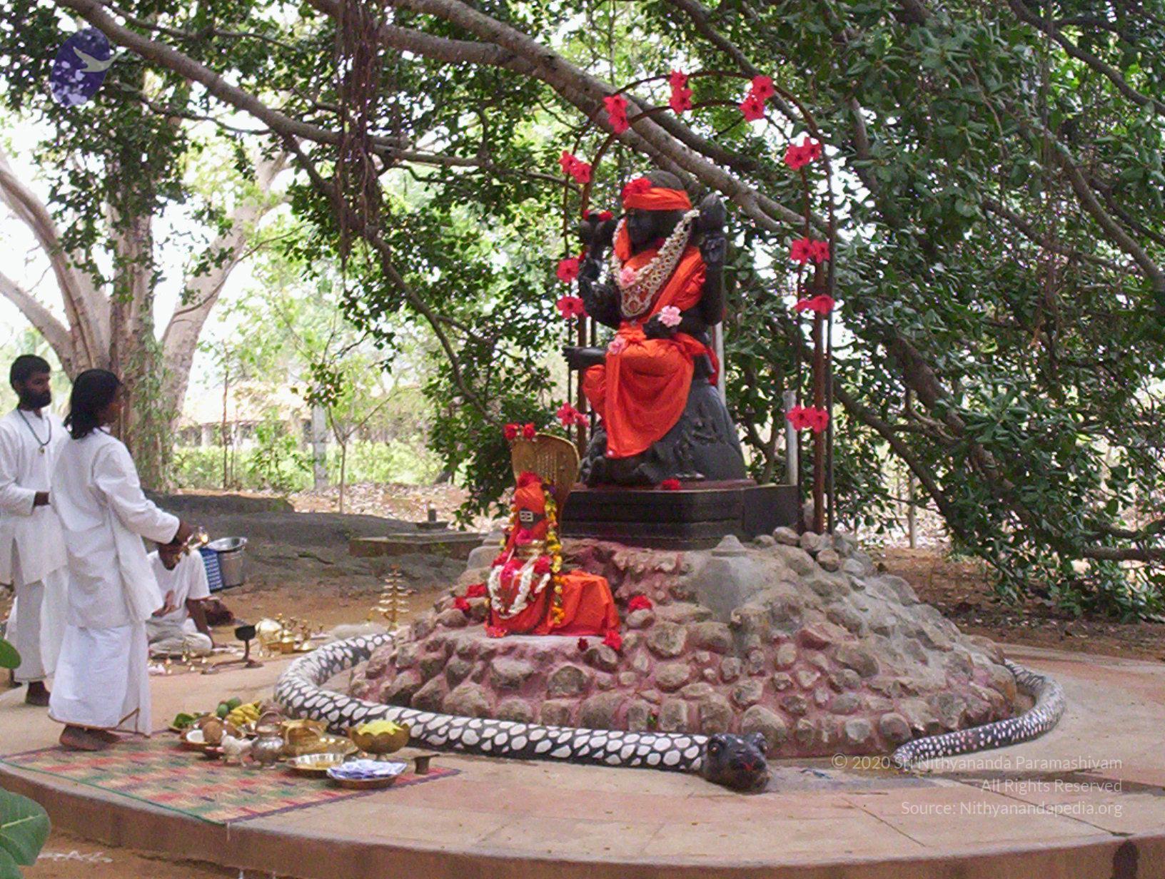 20050409_Photo_1016_100_2015_CMP_WM