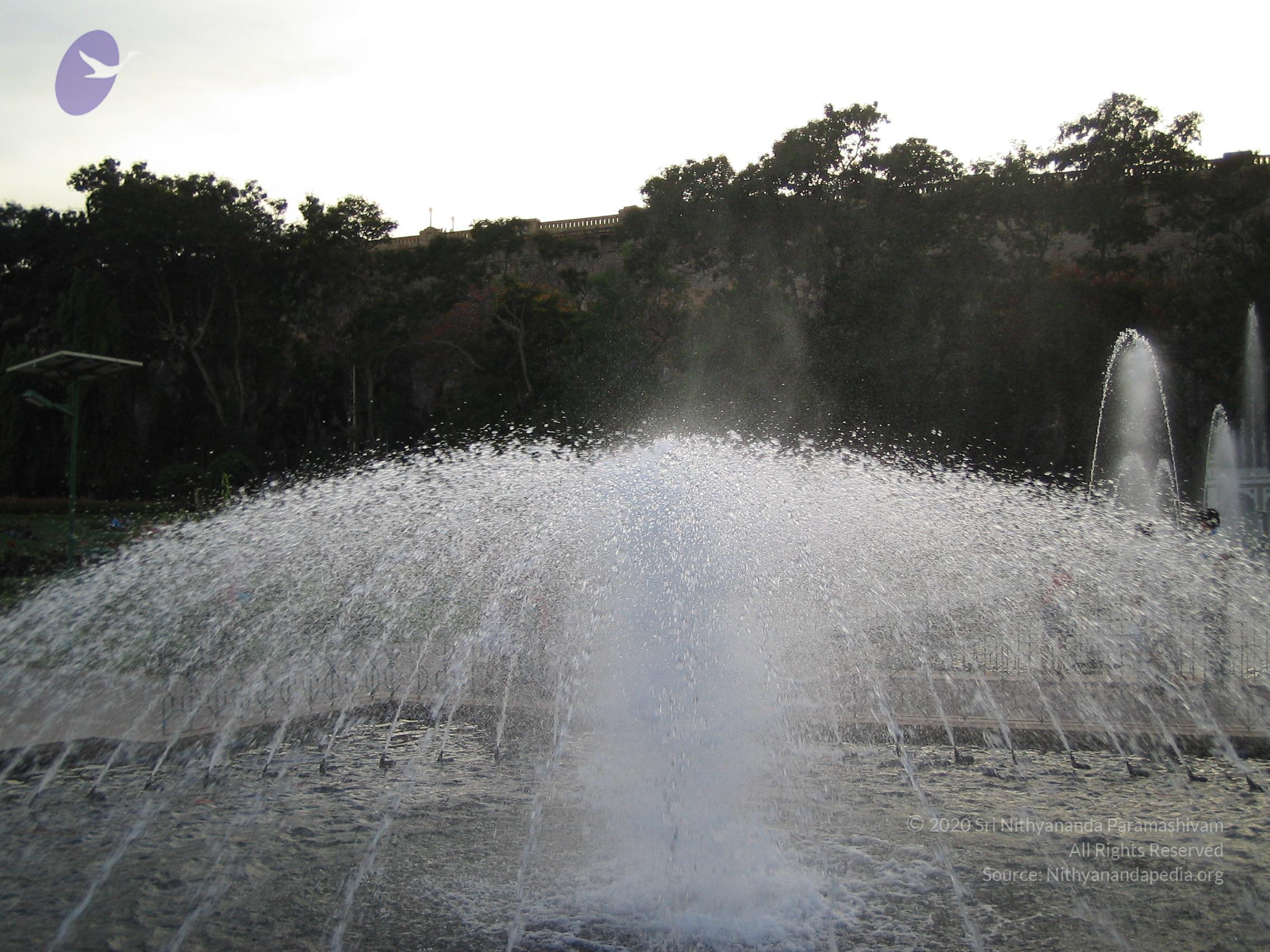 20050409_Photo_1020_IMG_0710_CMP_WM