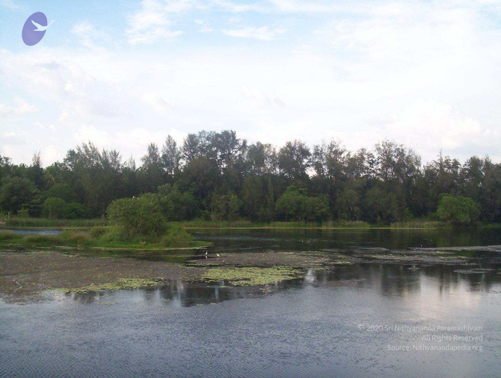 20050409_Photo_1023_100_2094_CMP_WM