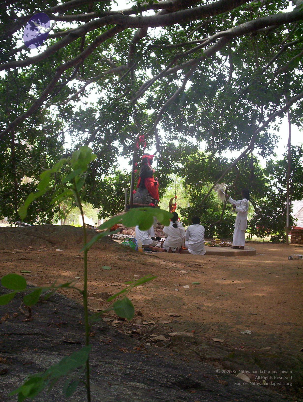 20050409_Photo_1024_100_2039_CMP_WM