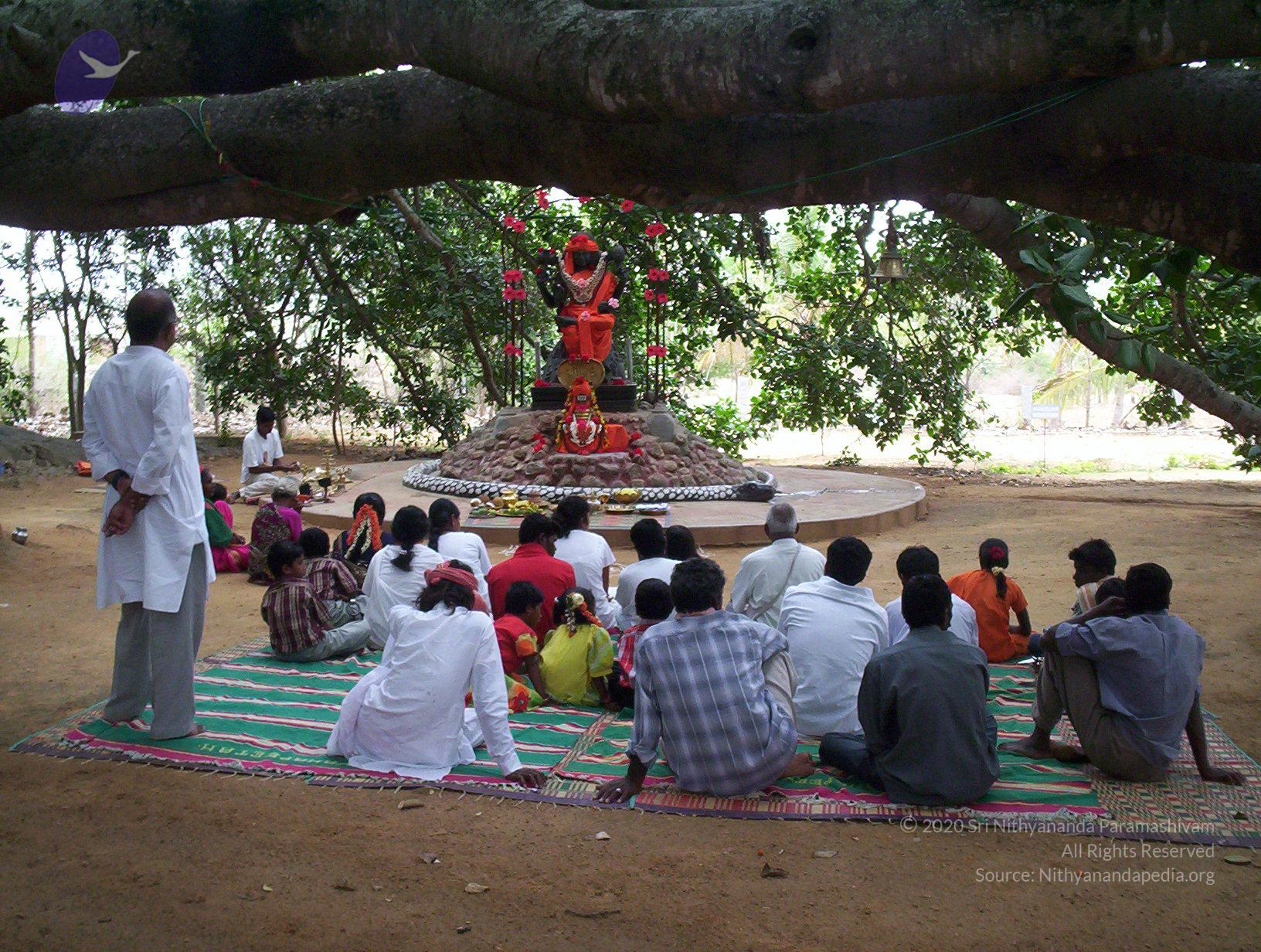 20050409_Photo_1027_100_2012_CMP_WM