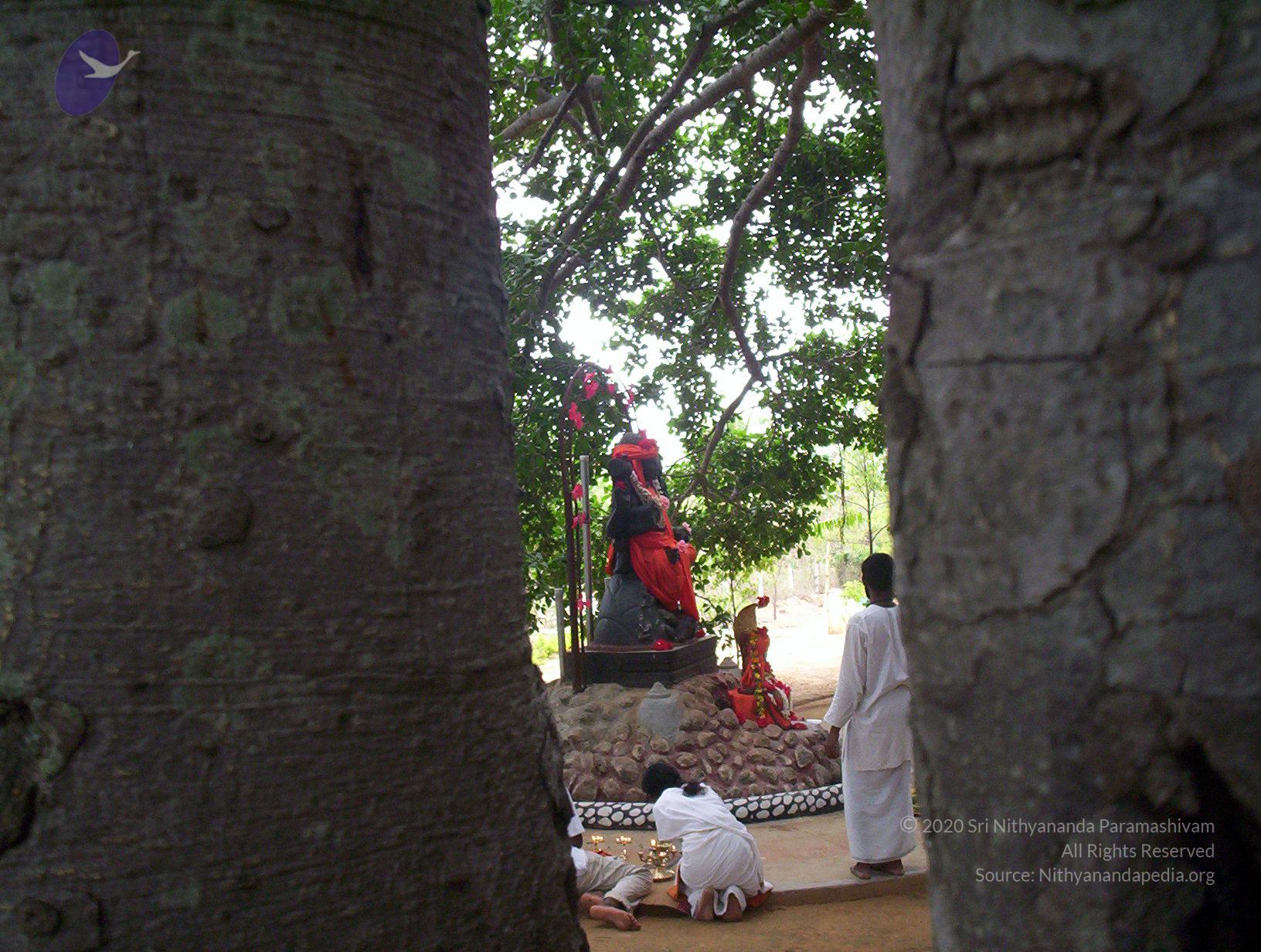 20050409_Photo_1028_100_2025_CMP_WM