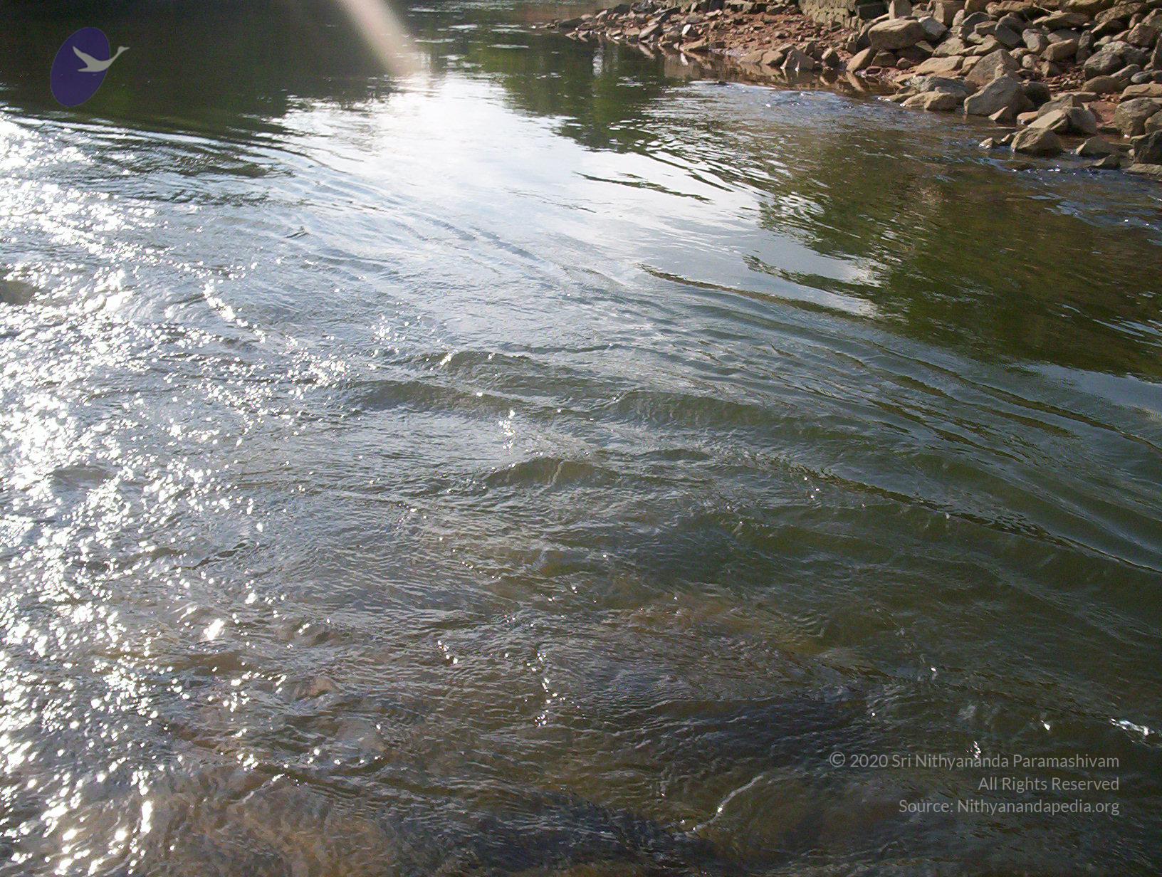 20050409_Photo_1029_100_2070_CMP_WM