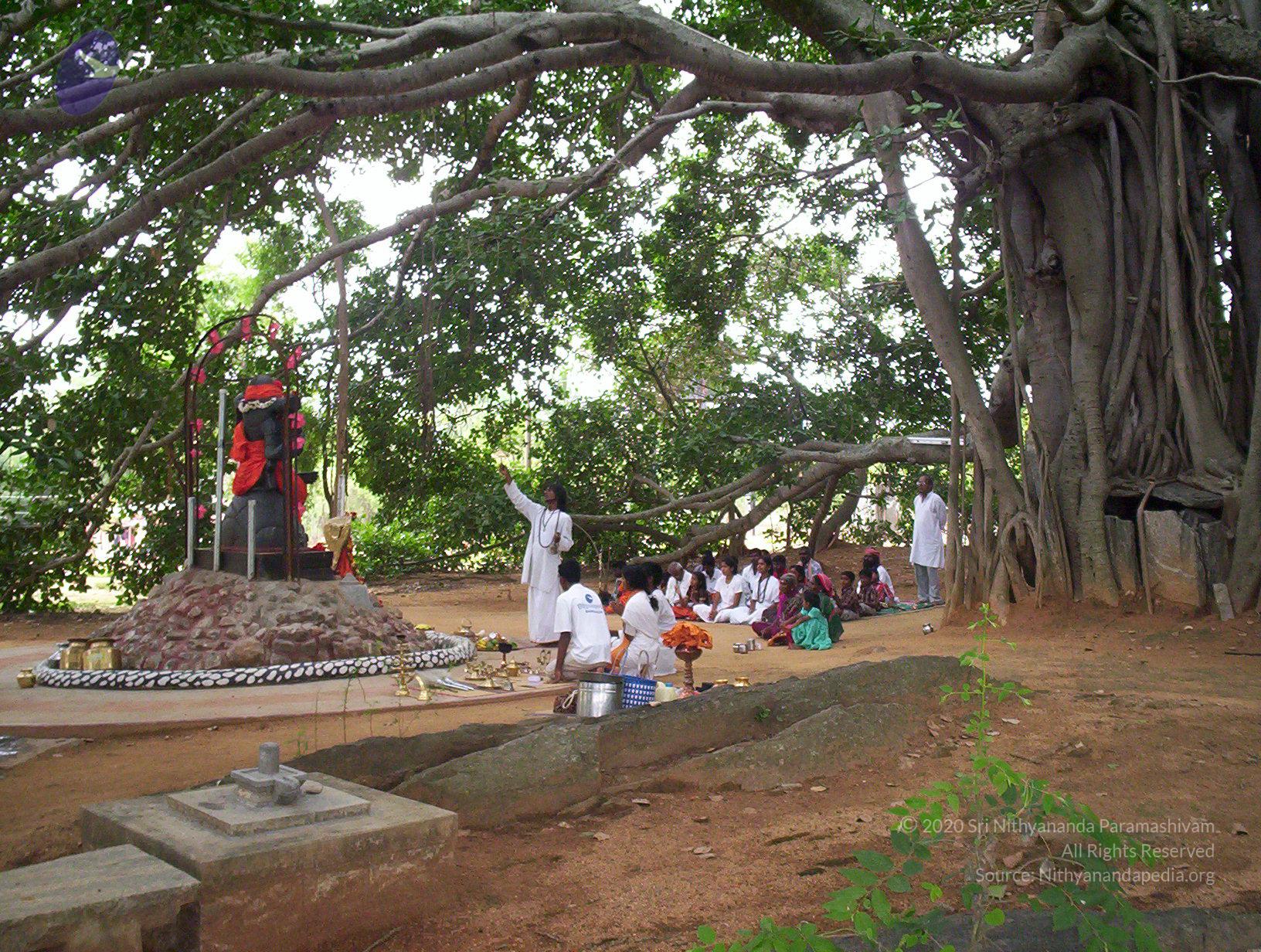 20050409_Photo_1032_100_2034_CMP_WM