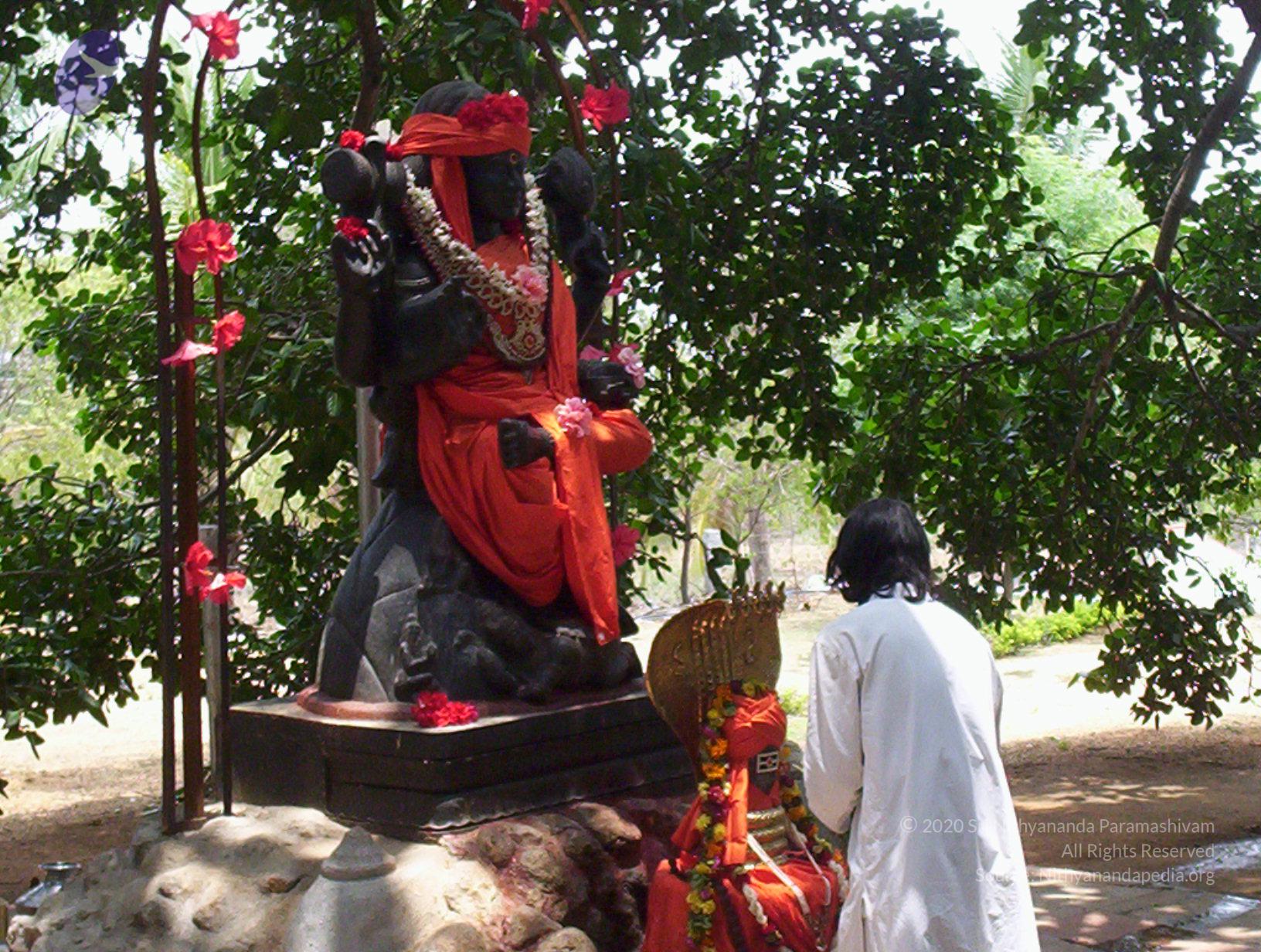 20050409_Photo_1033_100_2003_CMP_WM