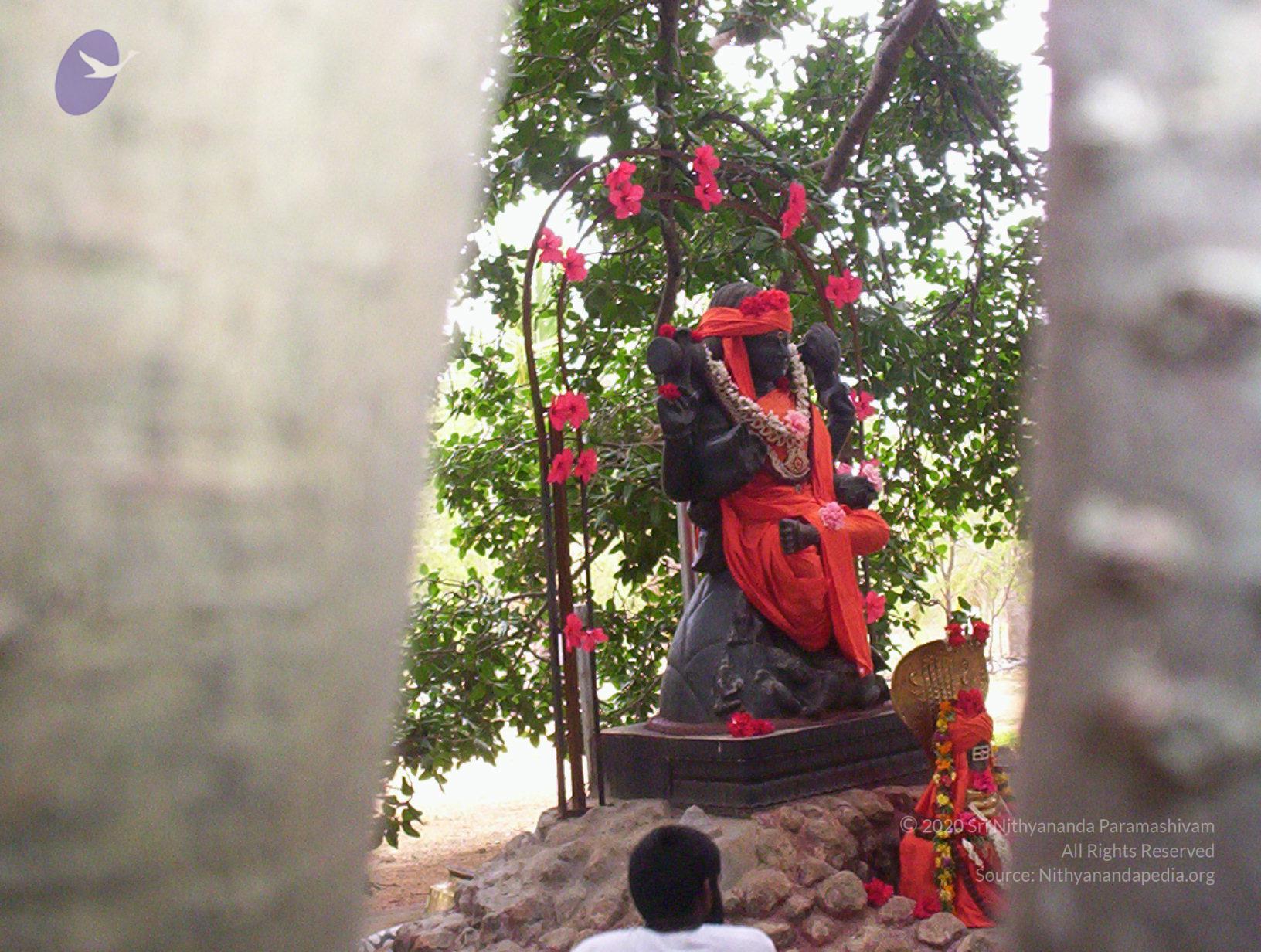 20050409_Photo_1034_100_2028_CMP_WM