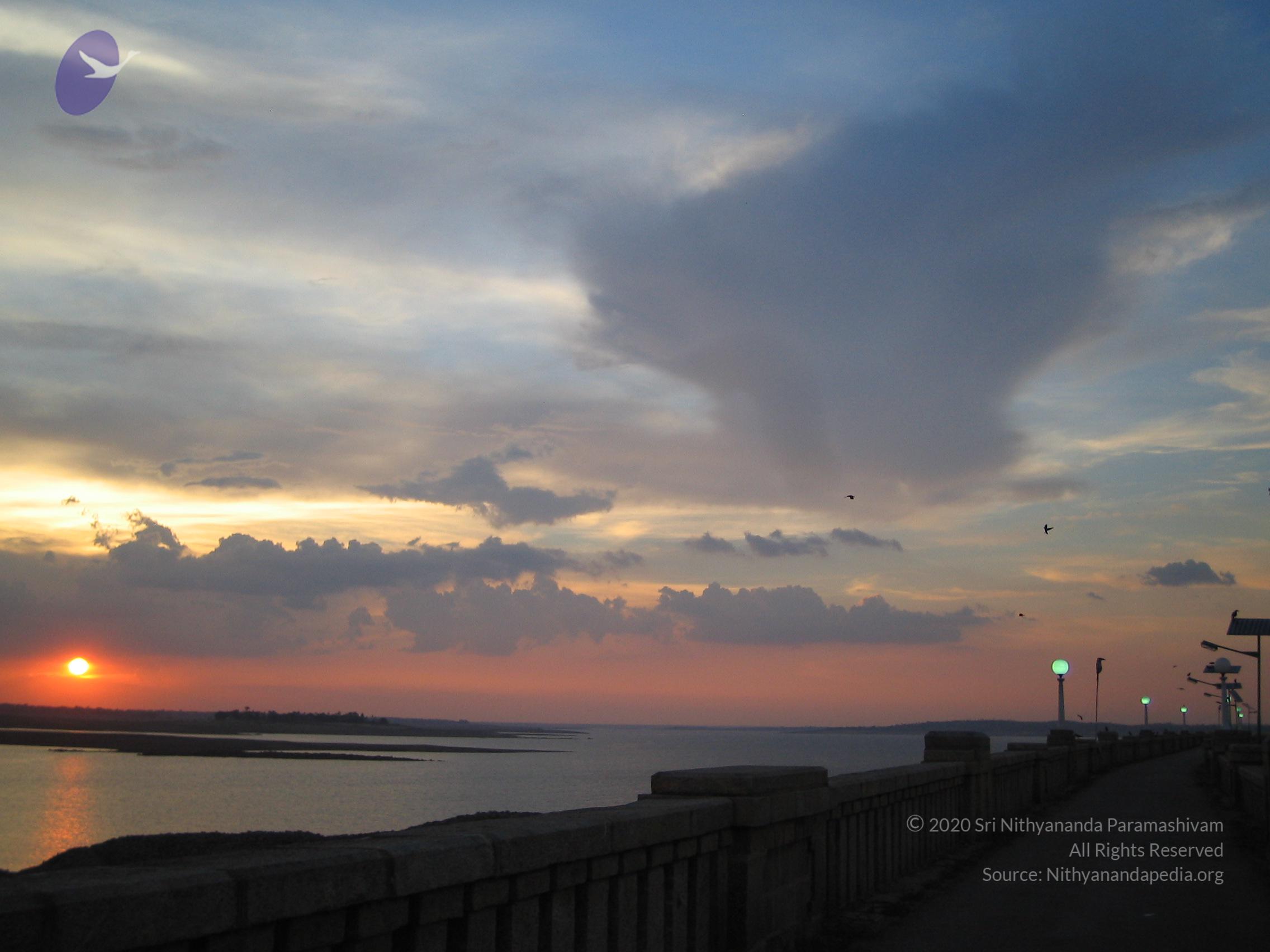 20050409_Photo_1040_IMG_0725_CMP_WM