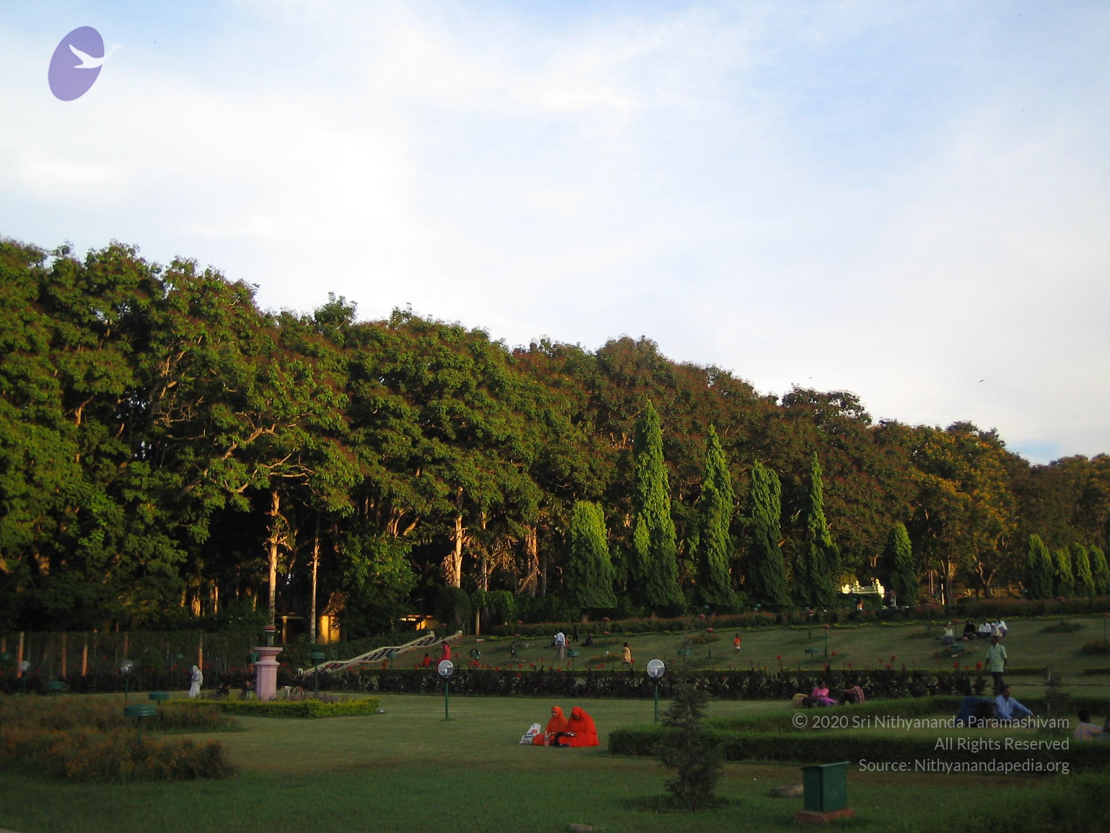 20050409_Photo_1041_IMG_0712_CMP_WM