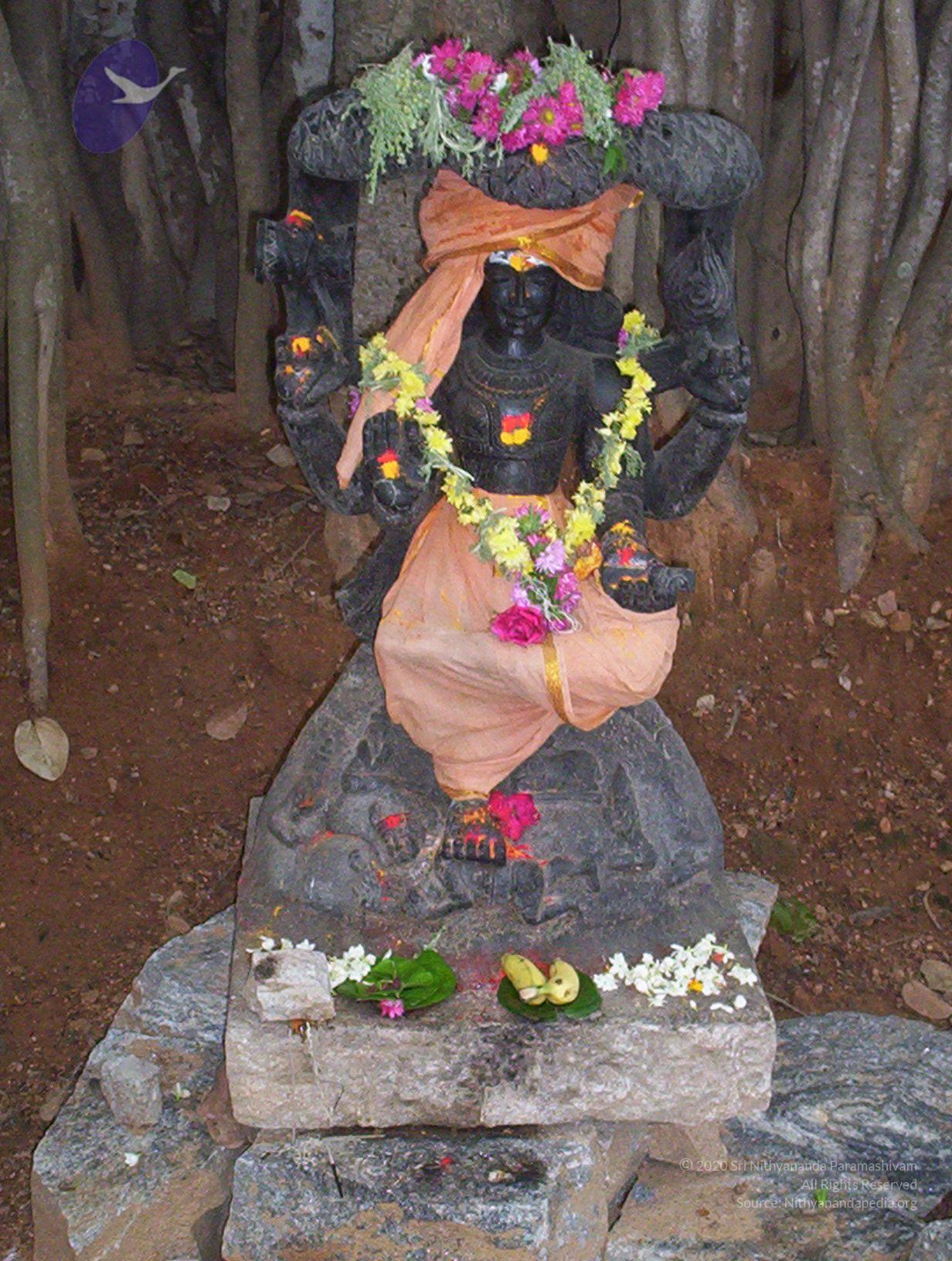 20050409_Photo_1043_100_2020_CMP_WM