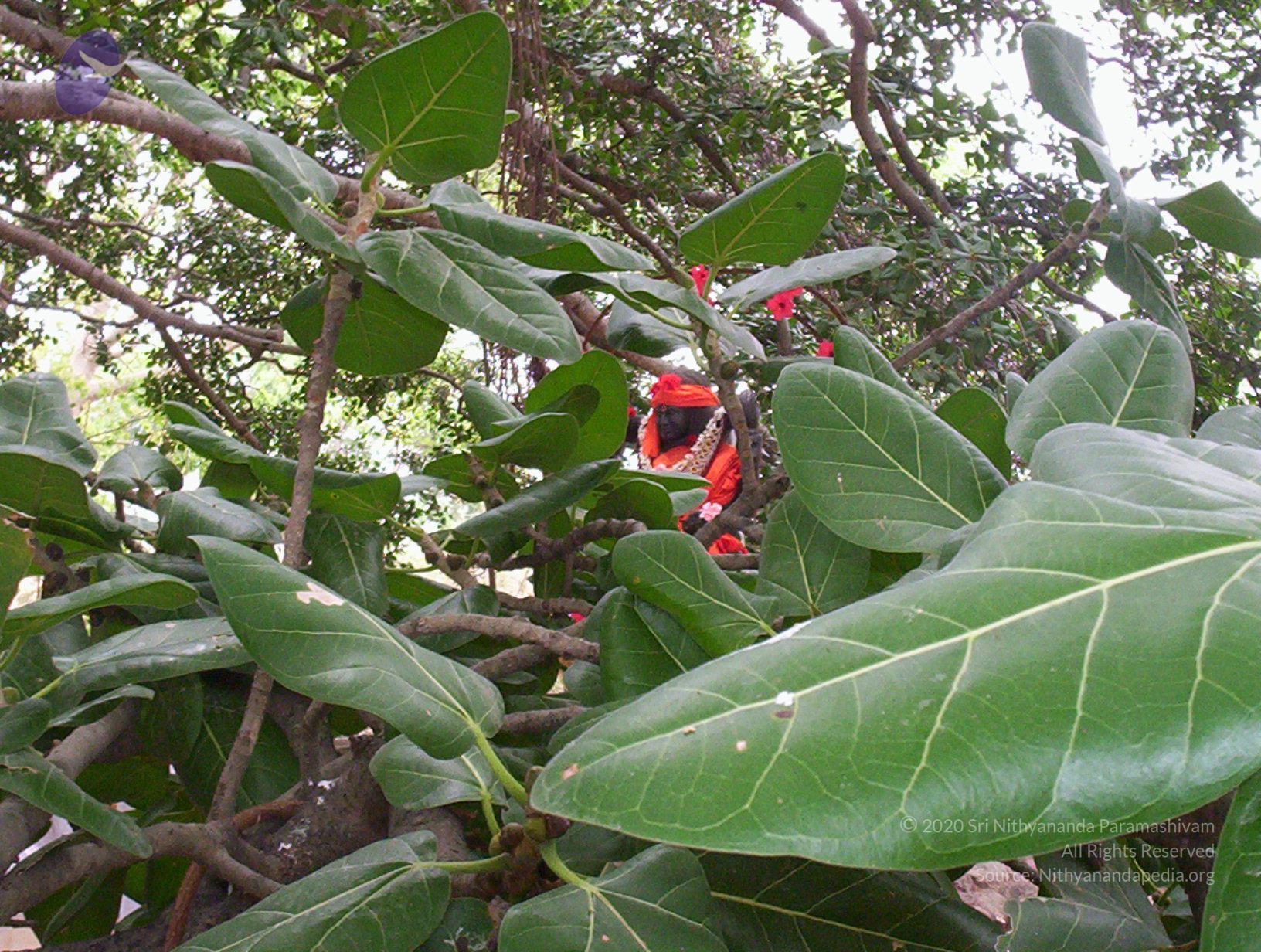 20050409_Photo_1044_100_2017_CMP_WM