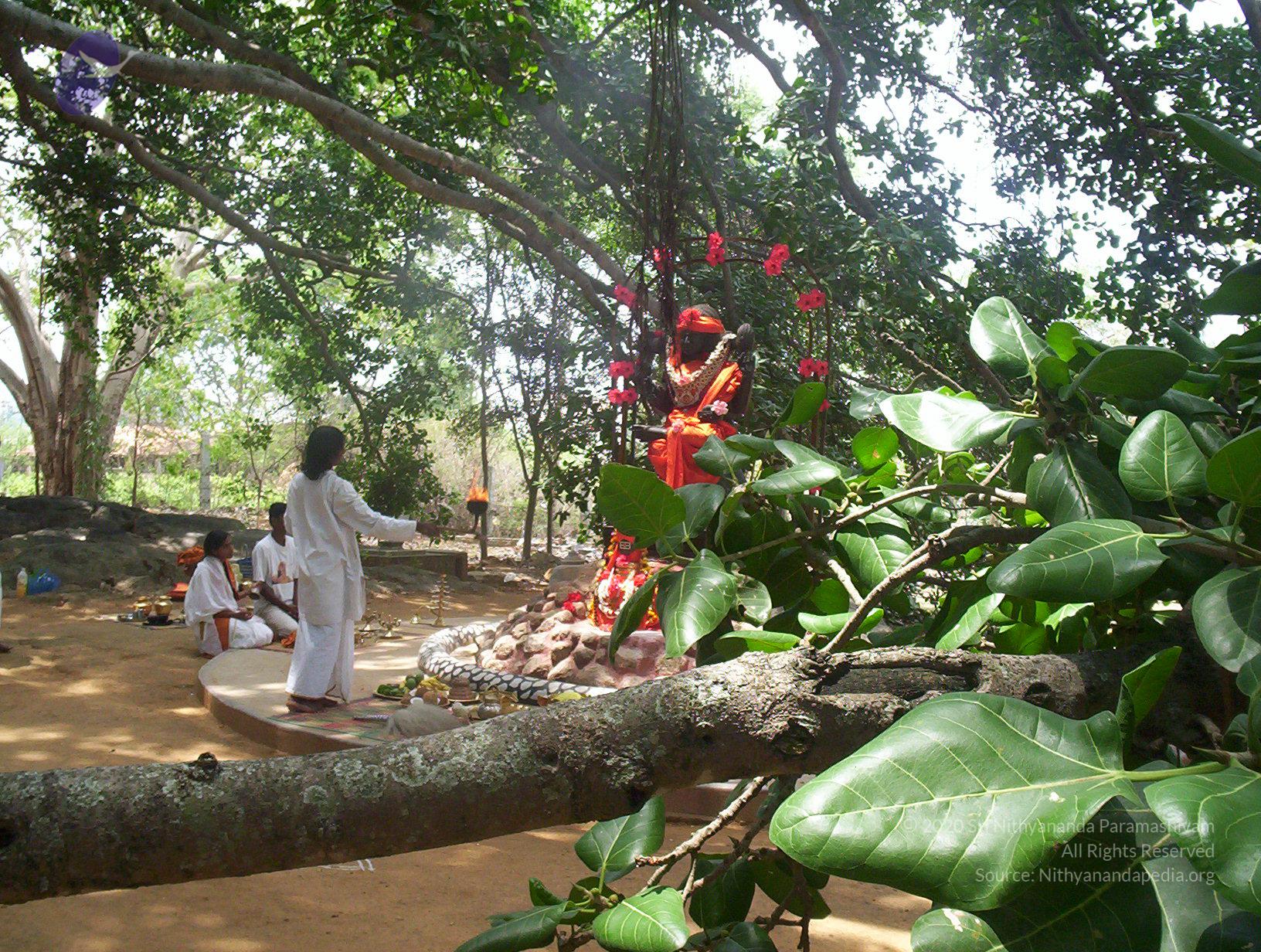 20050409_Photo_1045_100_2042_CMP_WM