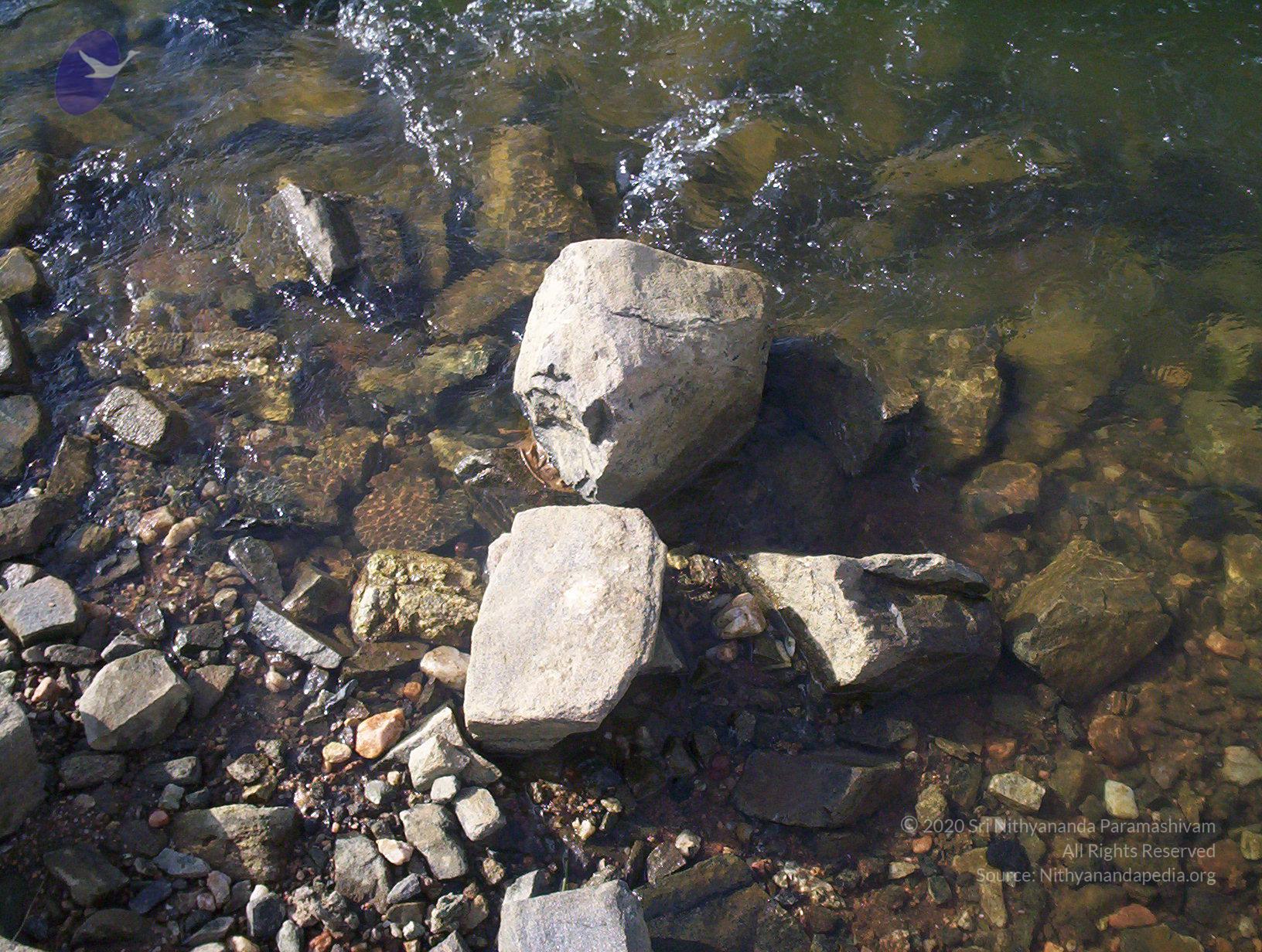 20050409_Photo_1046_100_2075_CMP_WM