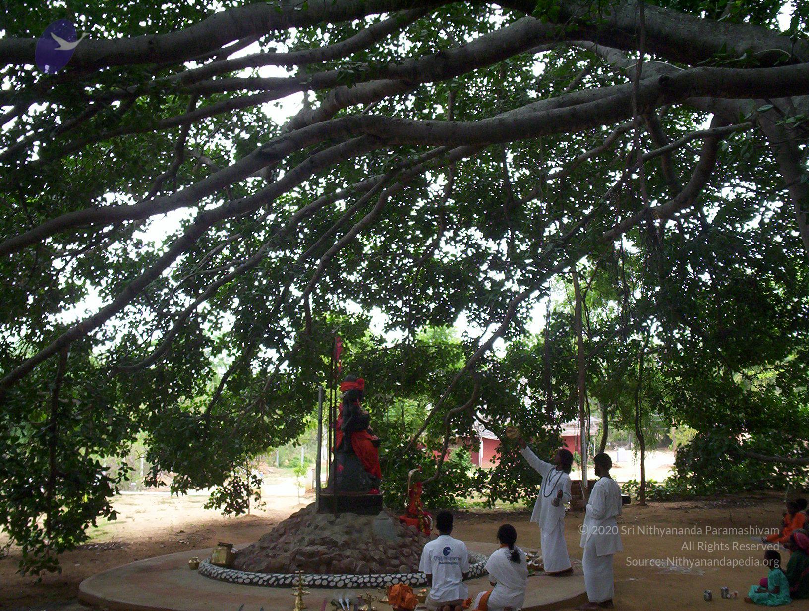 20050409_Photo_1050_100_2032_CMP_WM