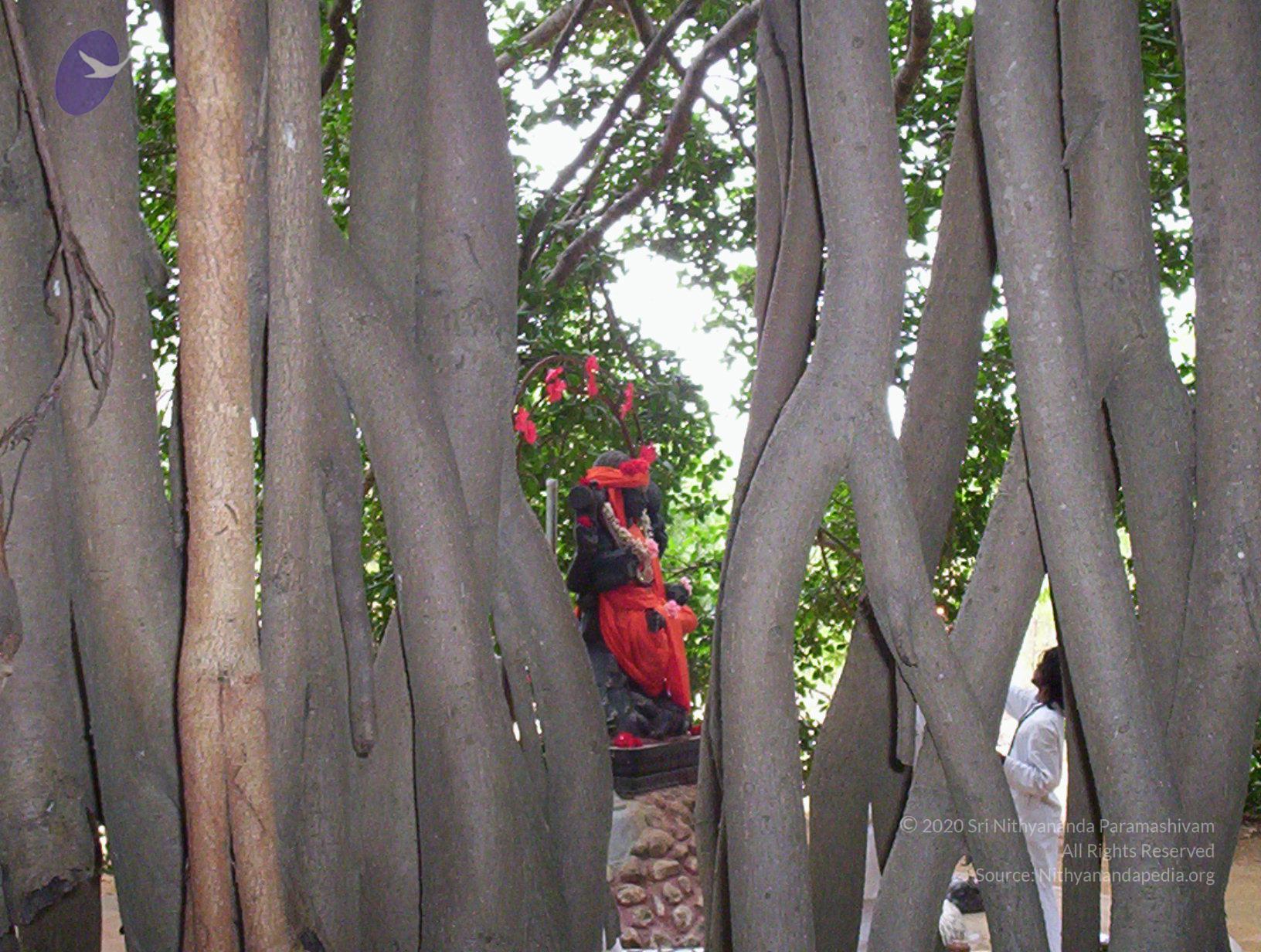 20050409_Photo_1054_100_2023_CMP_WM