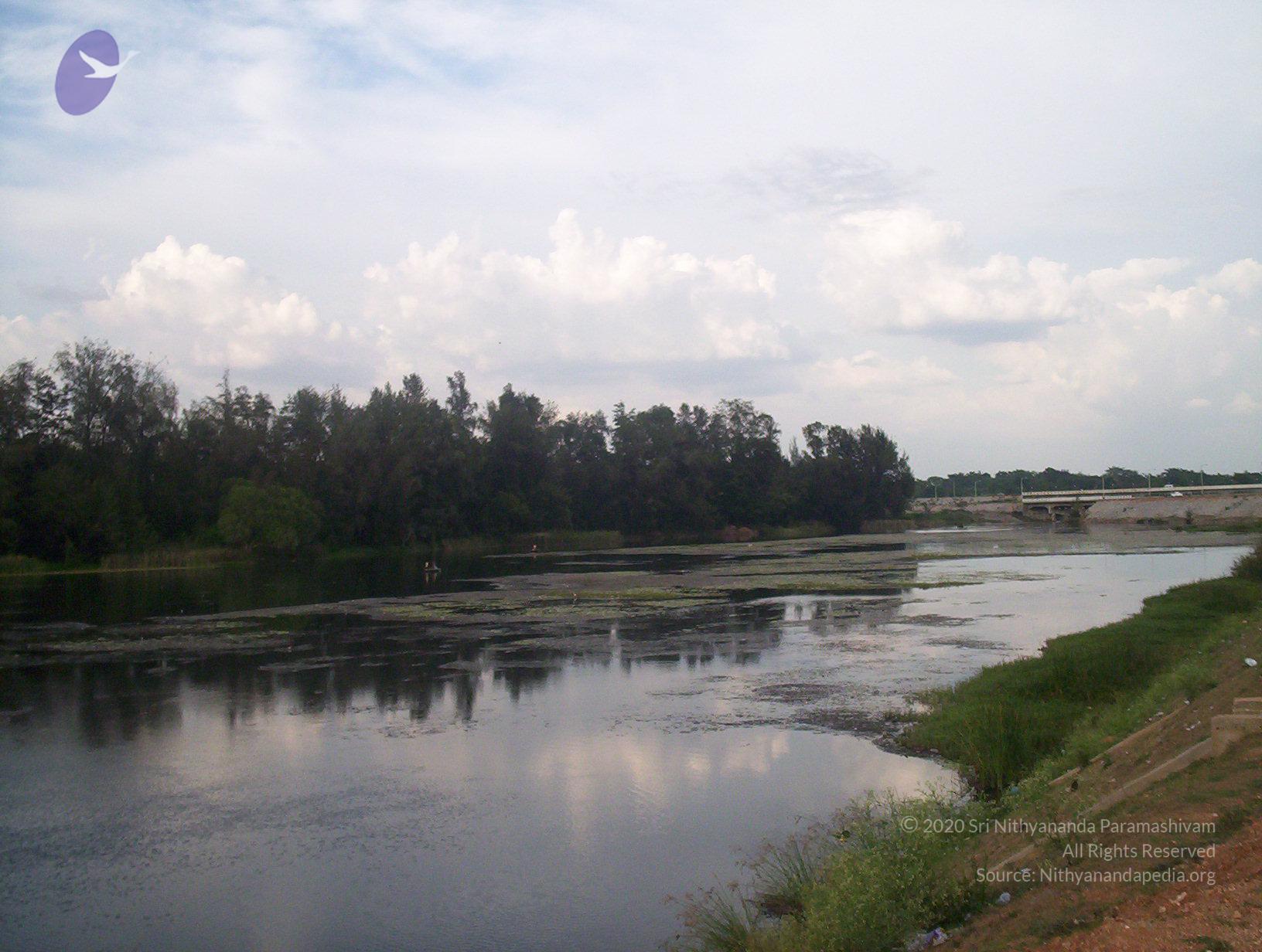 20050409_Photo_1057_100_2095_CMP_WM