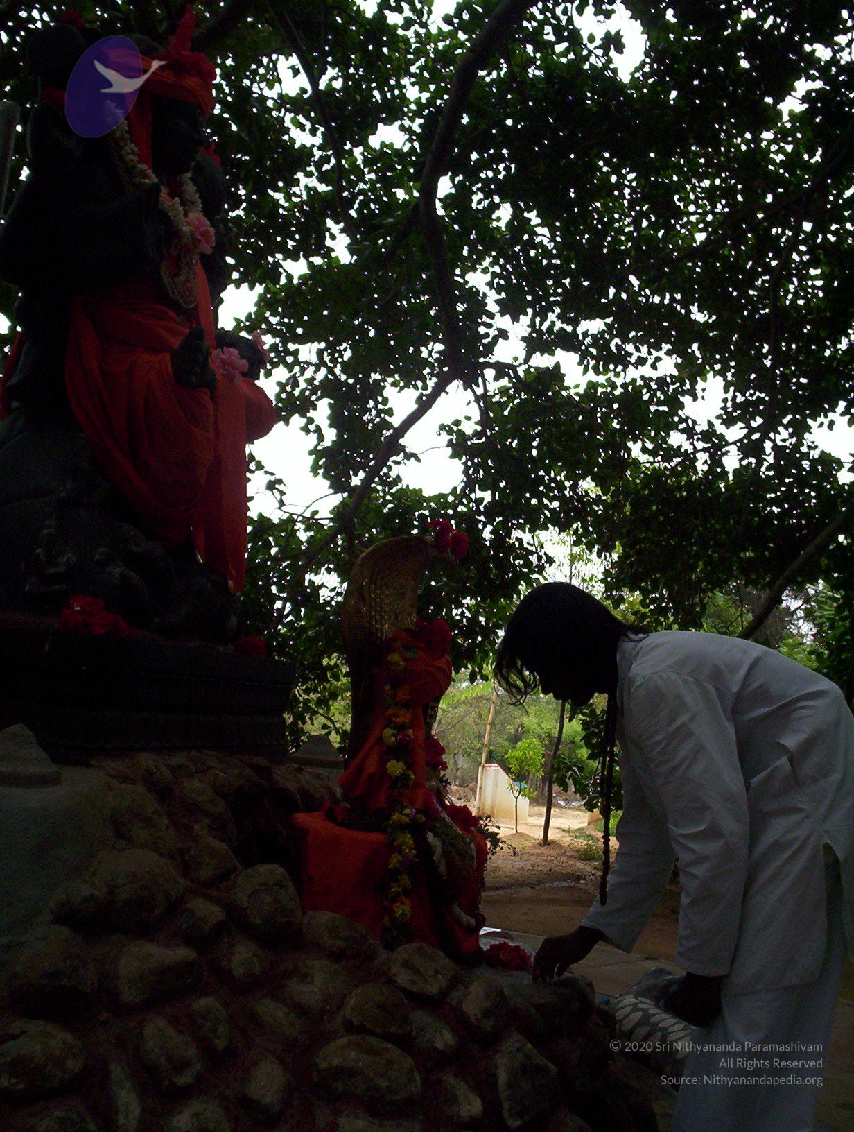 20050409_Photo_1060_100_2008_CMP_WM