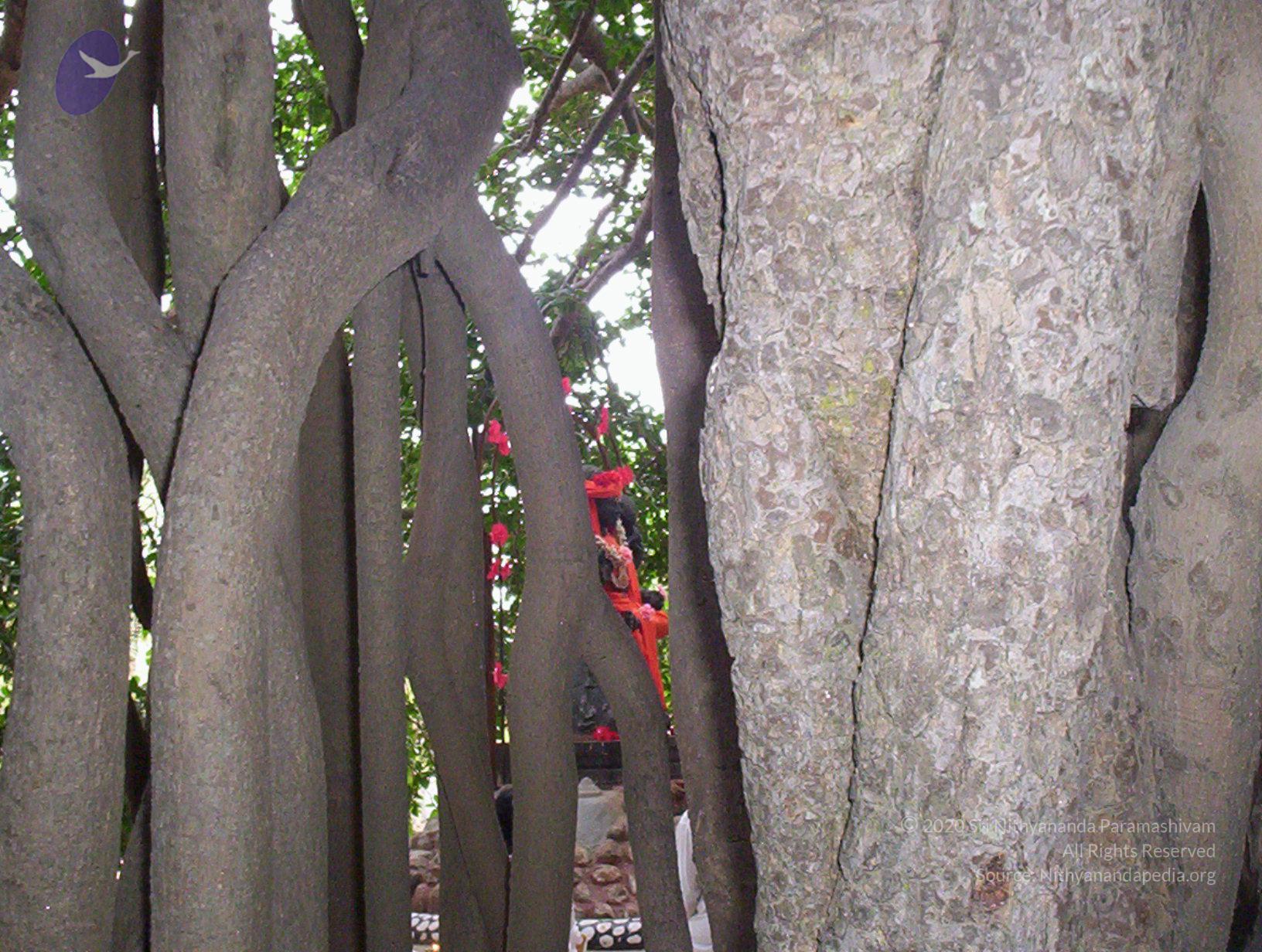 20050409_Photo_1061_100_2026_CMP_WM