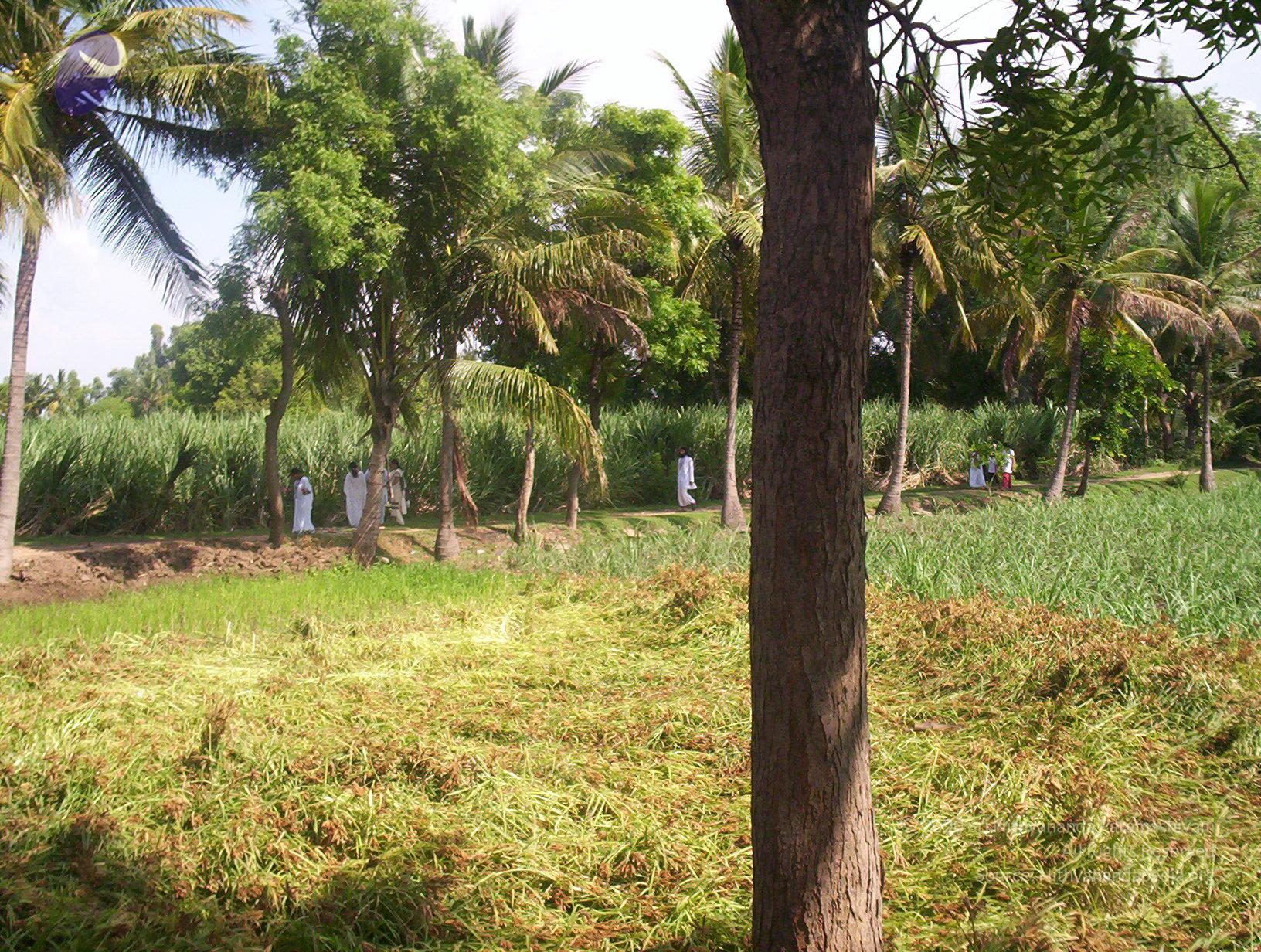 20050409_Photo_1069_100_2062_CMP_WM