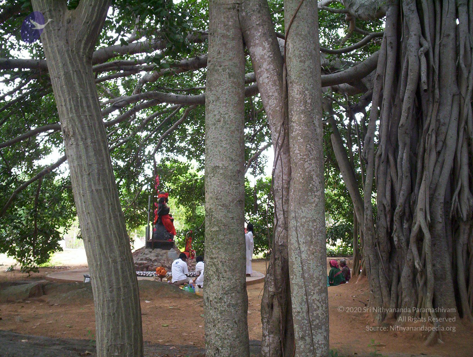 20050409_Photo_1072_100_2037_CMP_WM