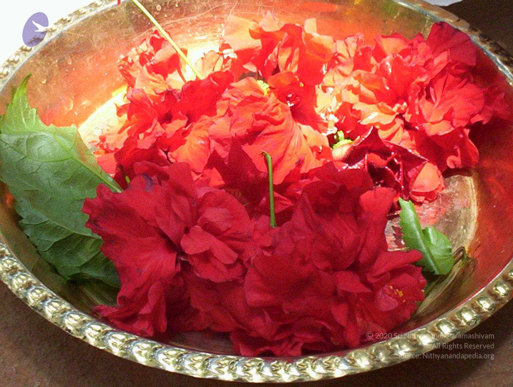 20050409_Photo_1075_100_2007_CMP_WM