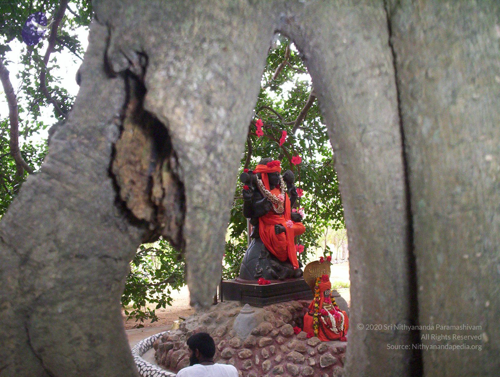 20050409_Photo_1077_100_2030_CMP_WM