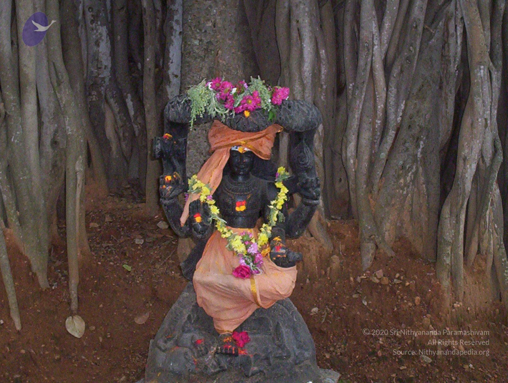 20050409_Photo_1081_100_2021_CMP_WM