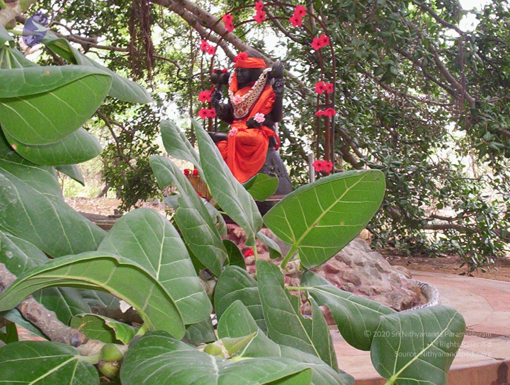 20050409_Photo_1082_100_2016_CMP_WM