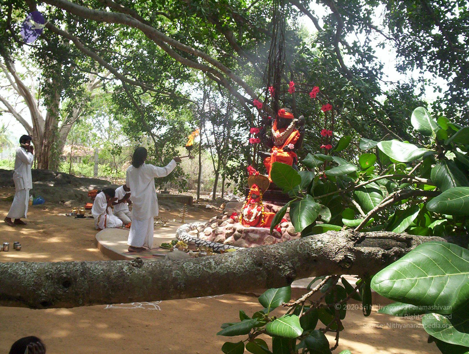 20050409_Photo_1083_100_2043_CMP_WM