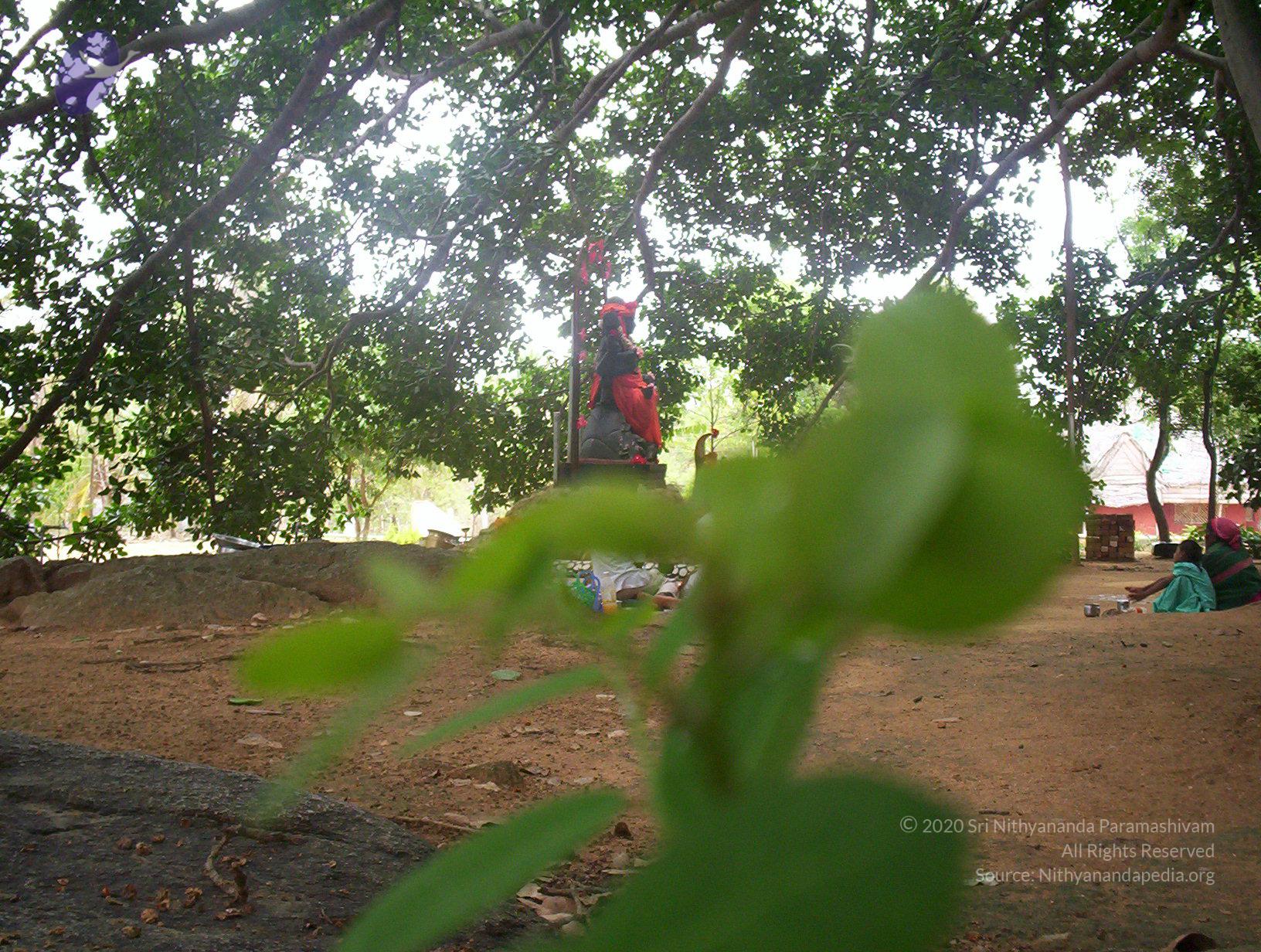 20050409_Photo_1085_100_2038_CMP_WM