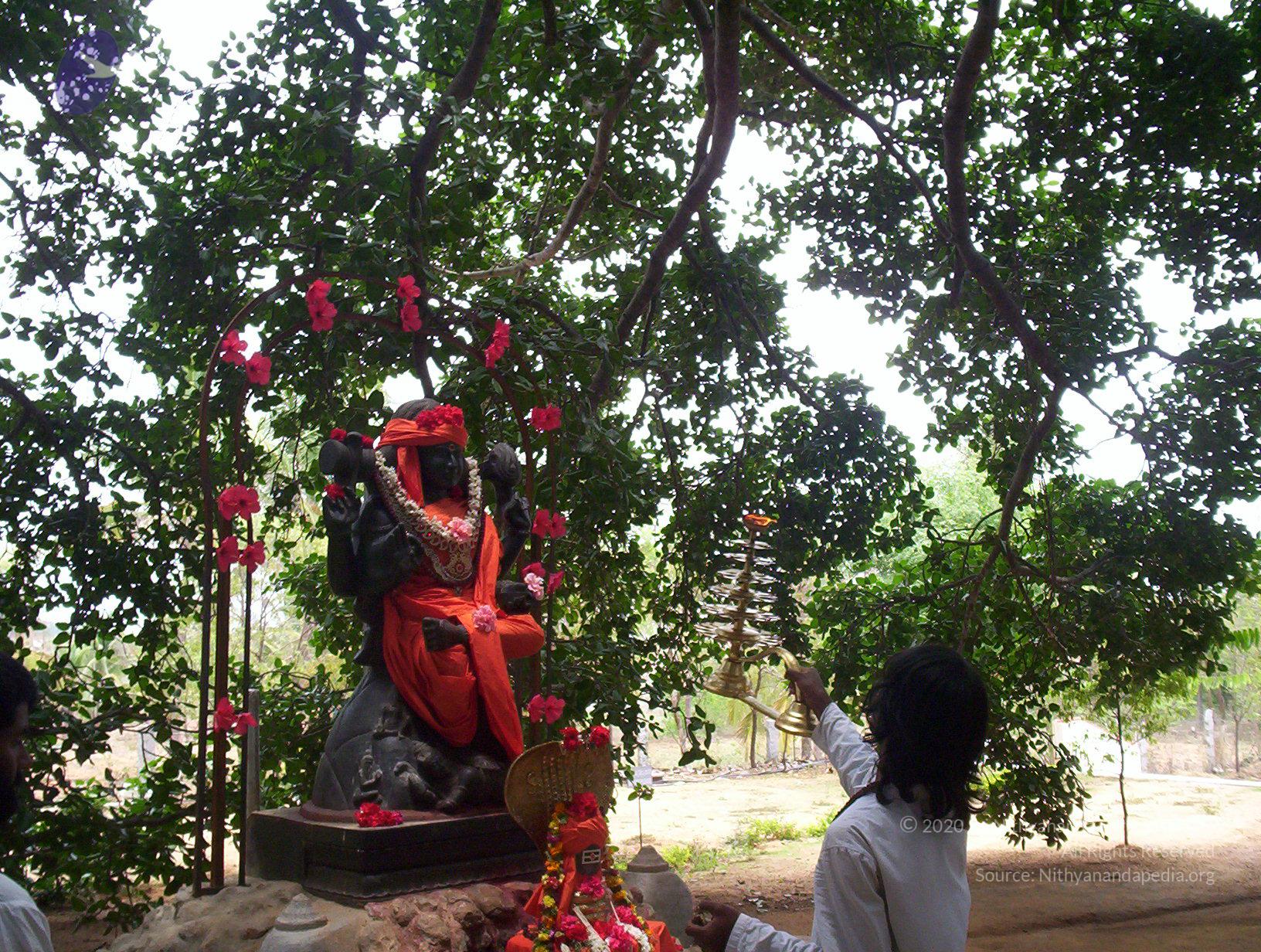 20050409_Photo_1088_100_2013_CMP_WM