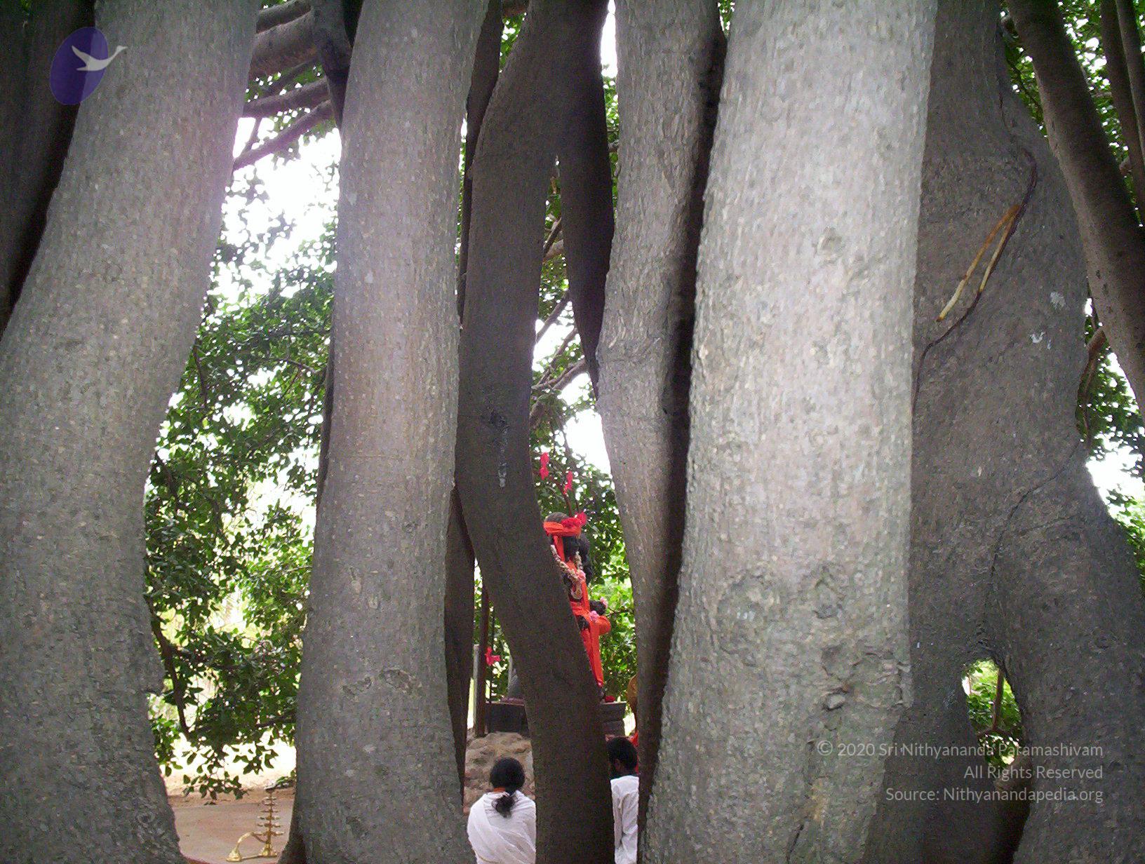 20050409_Photo_1089_100_2024_CMP_WM