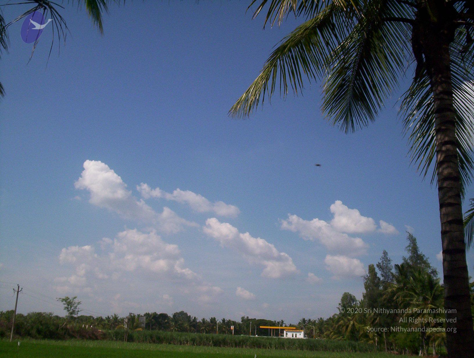 20050409_Photo_1092_100_2060_CMP_WM