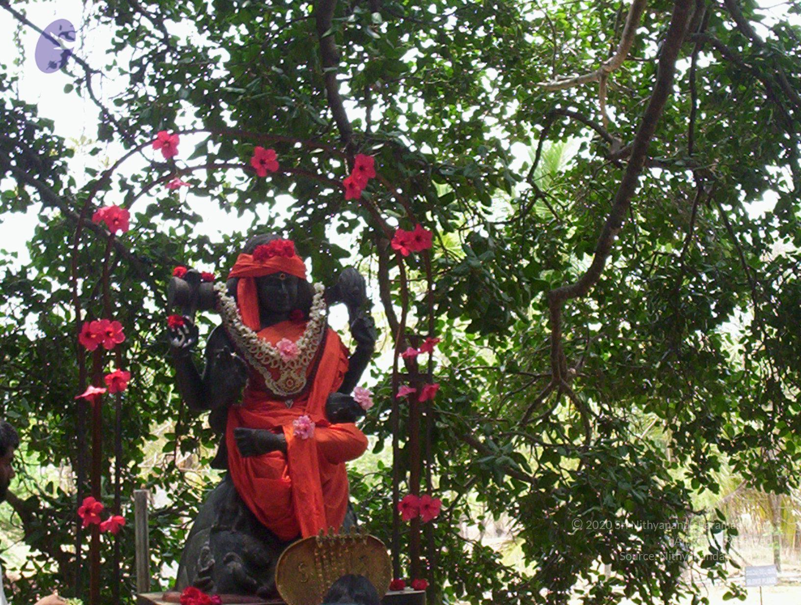 20050409_Photo_1094_100_2002_CMP_WM