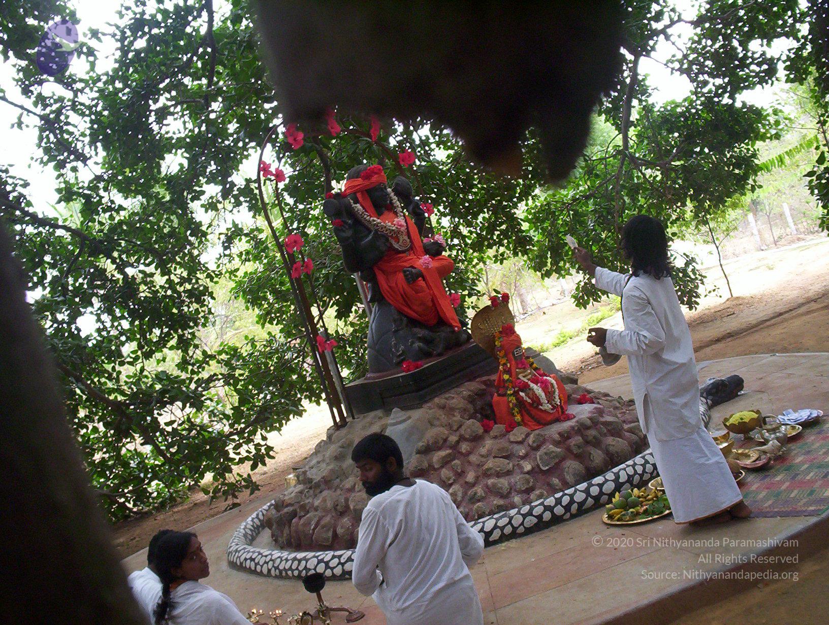 20050409_Photo_1095_100_2029_CMP_WM