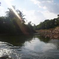 20050409_Photo_1003_100_2072_CMP_WM